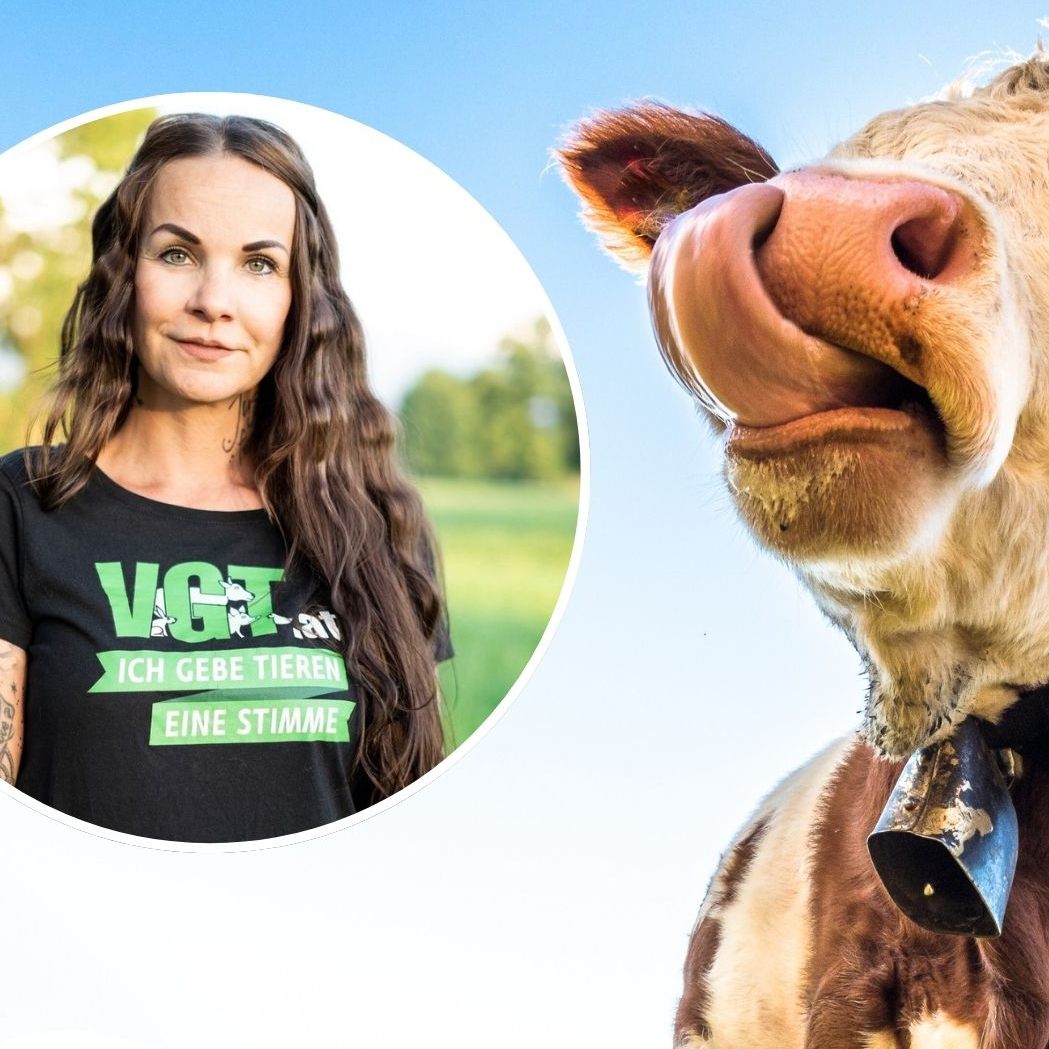 Der VGT reagiert auf den Fall aus dem Bezirk Bregenz.