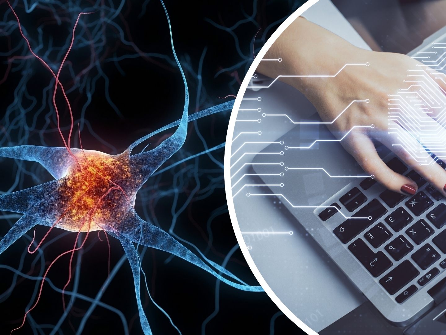 Künstliche Intelligenz: Neue Methode zur Verifizierung vorgestellt