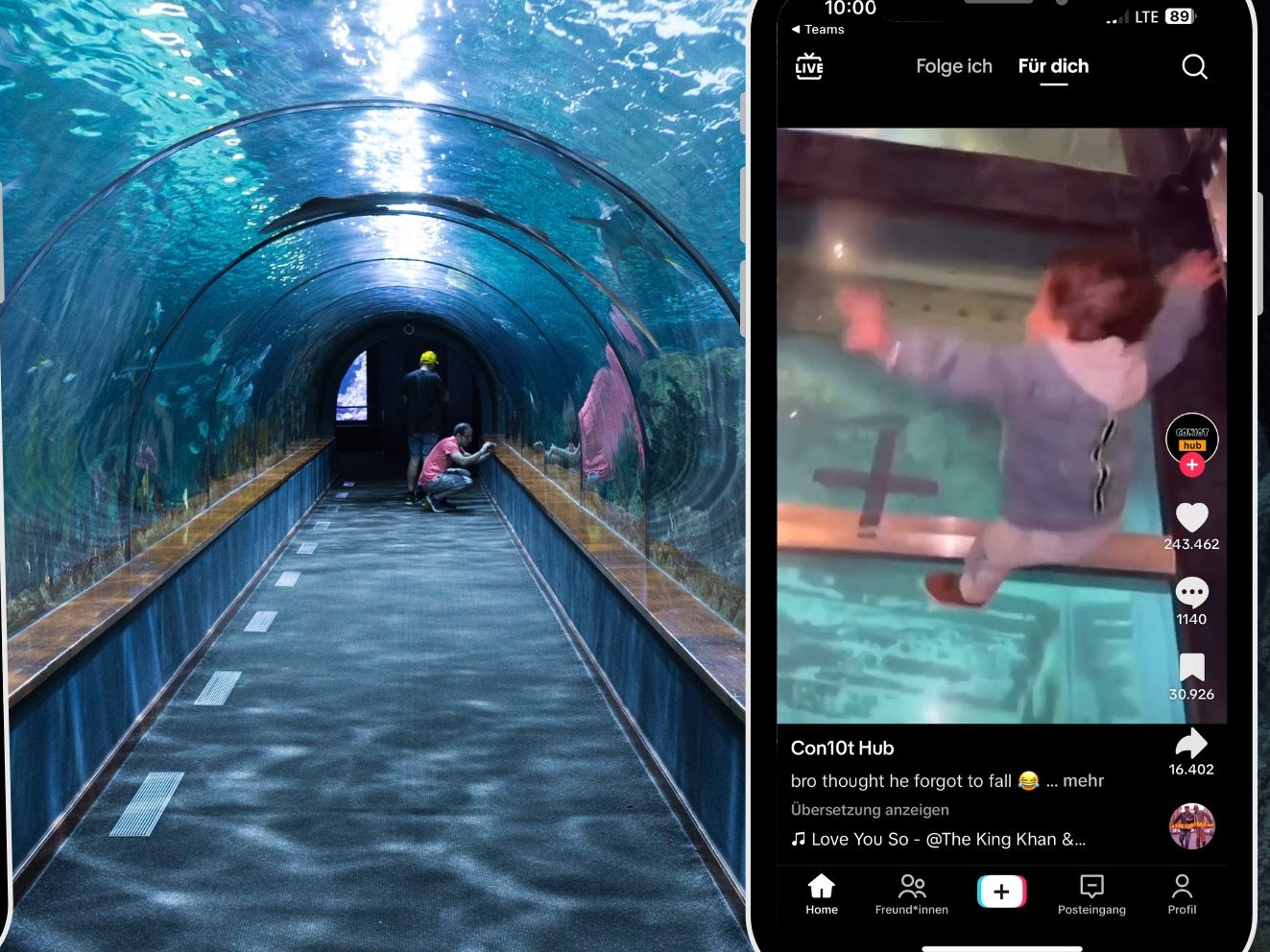 Erschreckender Moment: Kind entdeckt Glasboden über Aquarium