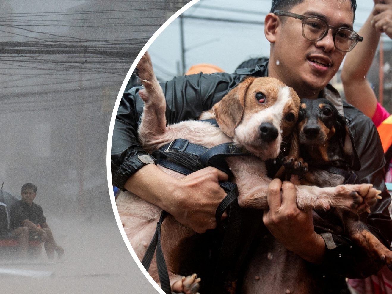 Taifun "Gaemi" sorgt auf den Philippinen für Chaos -16 Tote