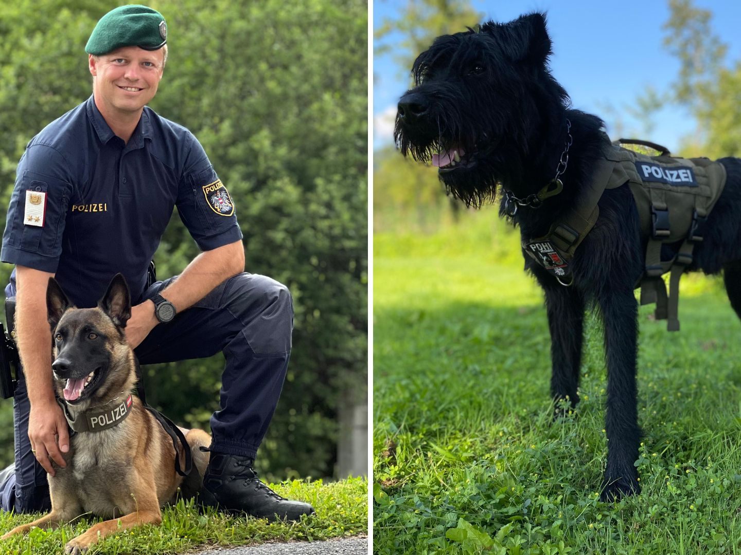 Die Diensthunde "Siegfried von Nacheron" und "Max" waren am Wochenende im Einsatz.