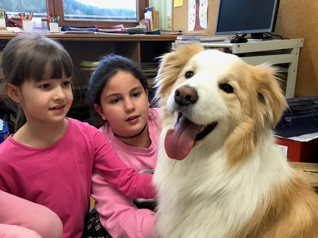 Mit Sami in der Klasse. Mit Sami in der Klasse.