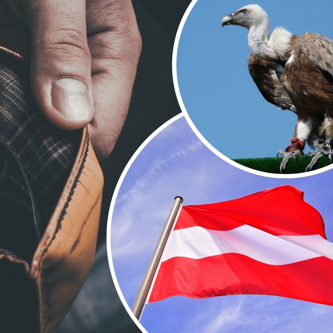 Der Pleitegeier kreist über Österreich.