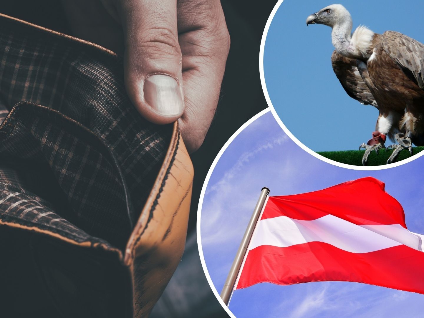 Der Pleitegeier kreist über Österreich.