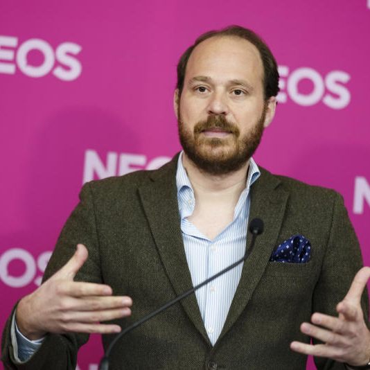 Die Neos übten massive Kritik an der ÖVP.