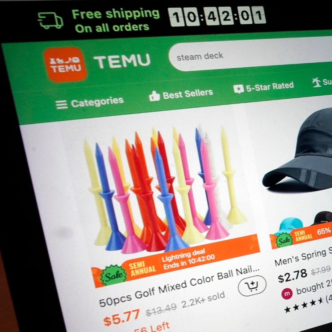 Temu und Shein: Strengere Kontrollen gefordert