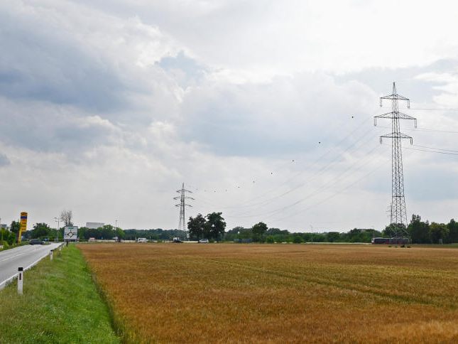 Beim Lobautunnel sieht ein Gutachten Mängel bei der Strategischen Umweltprüfung.