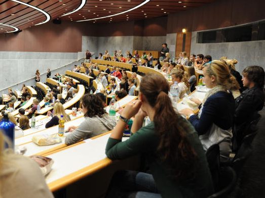 Österreichs Studierende sind im Schnitt älter und arbeiten mehr. Österreichs Studierende sind im Schnitt älter und arbeiten mehr.