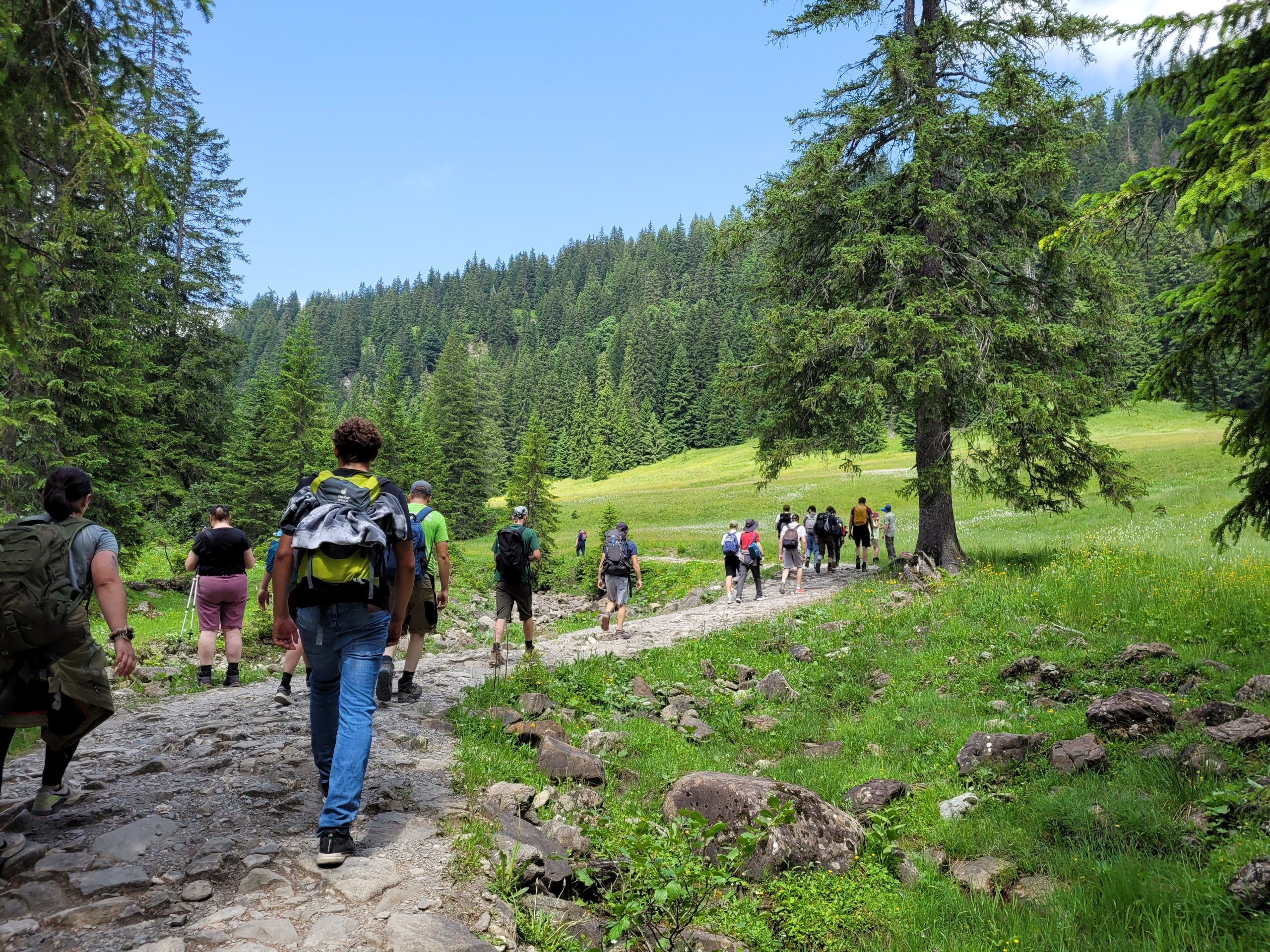 Wandern im Bregenzerwald Wandern im Bregenzerwald