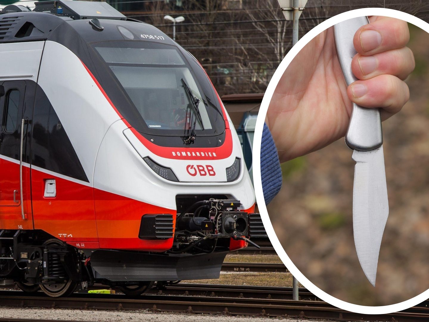 Polizeieinsatz in ÖBB-Zug. (Symbolbild) Polizeieinsatz in ÖBB-Zug. (Symbolbild)