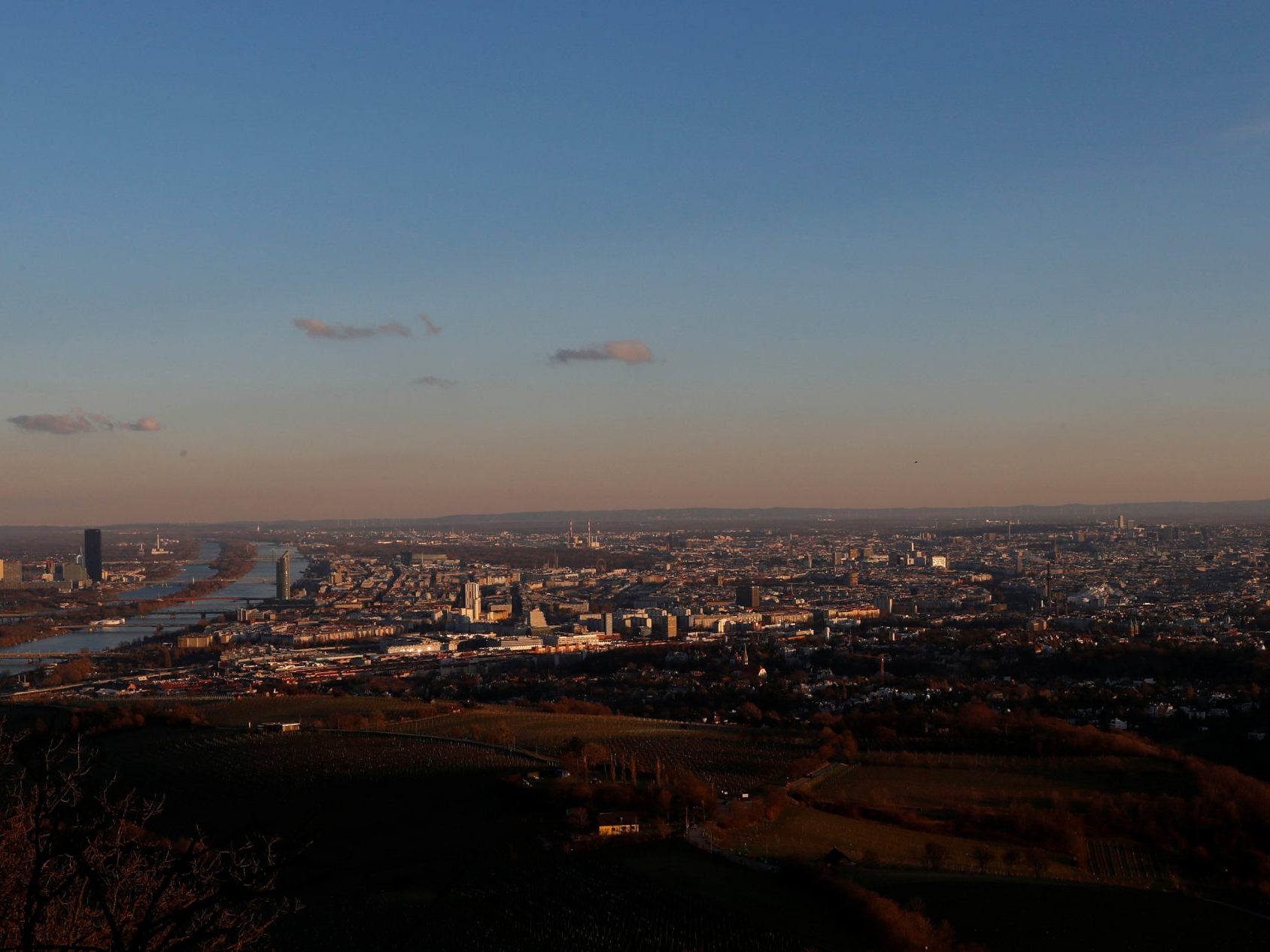 Tiere leben in Wien nicht nur oberhalb der Erde.