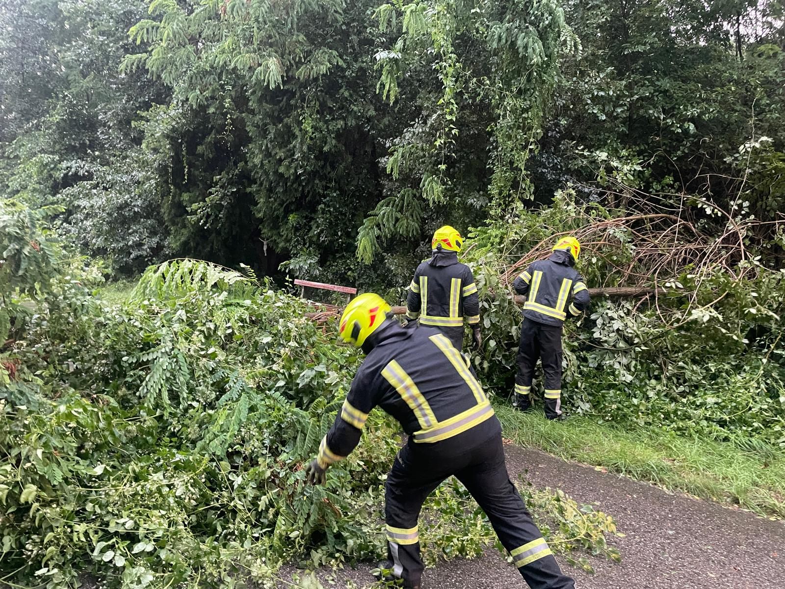 Der Sonntag hatte für die Feuerwehr Grafenwörth mehrere Einsätze im Gepäck.