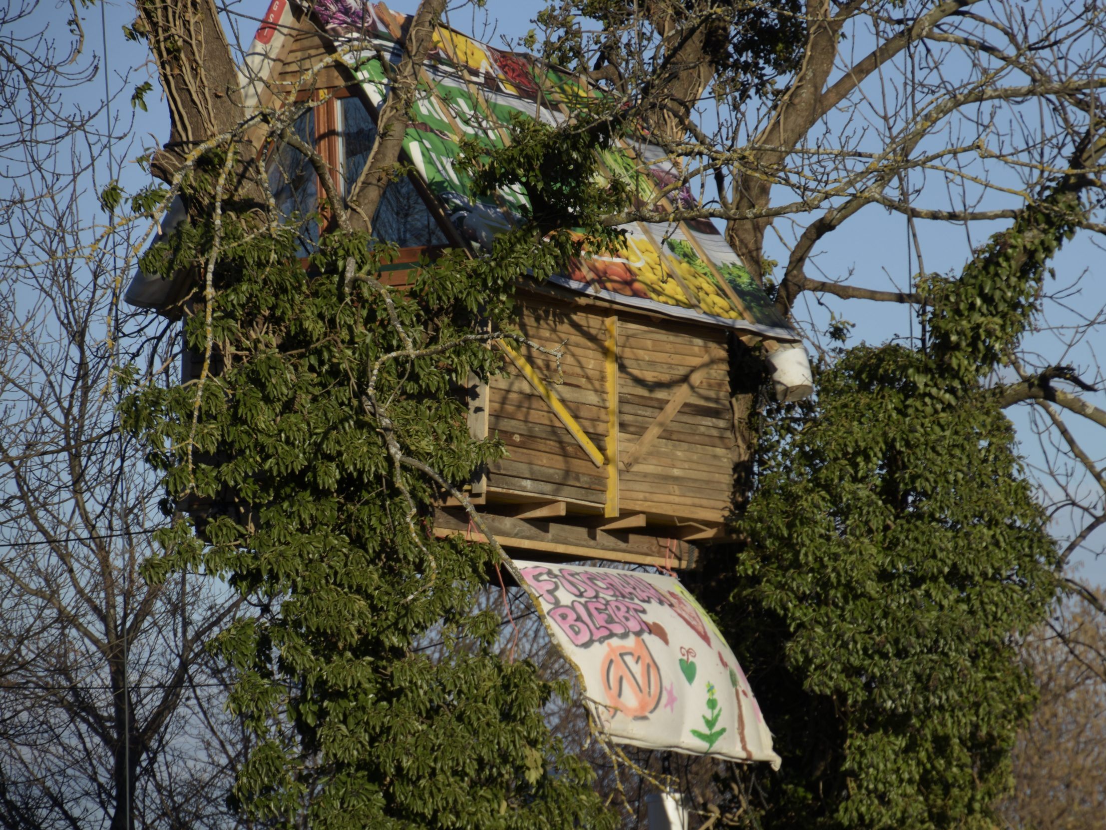 Das von Gegnern der geplanten Ostumfahrung errichtete Baumhaus ist entfernt worden.
