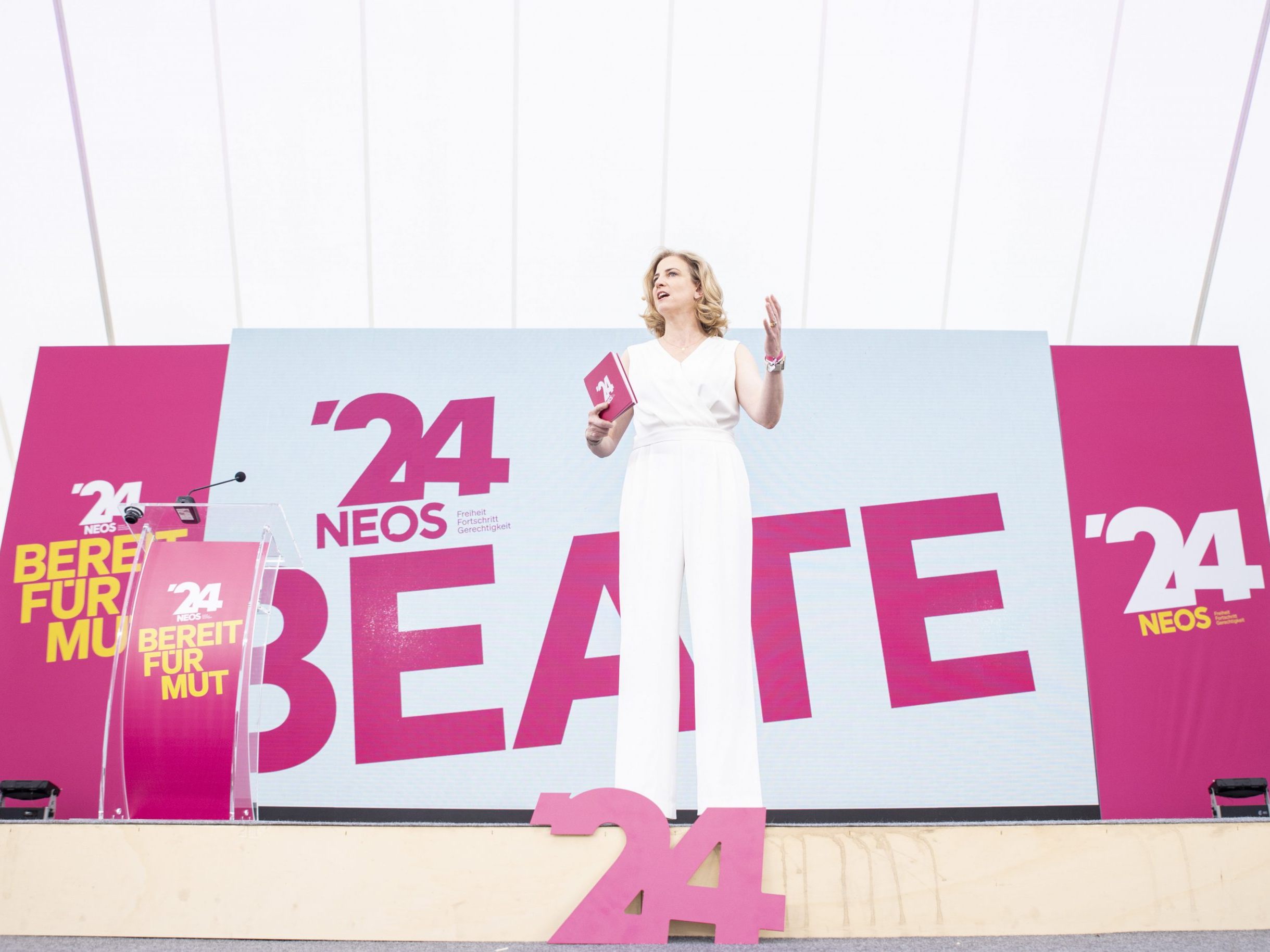 Die NEOS waren bislang noch nie in einer Bundesregierung vertreten.