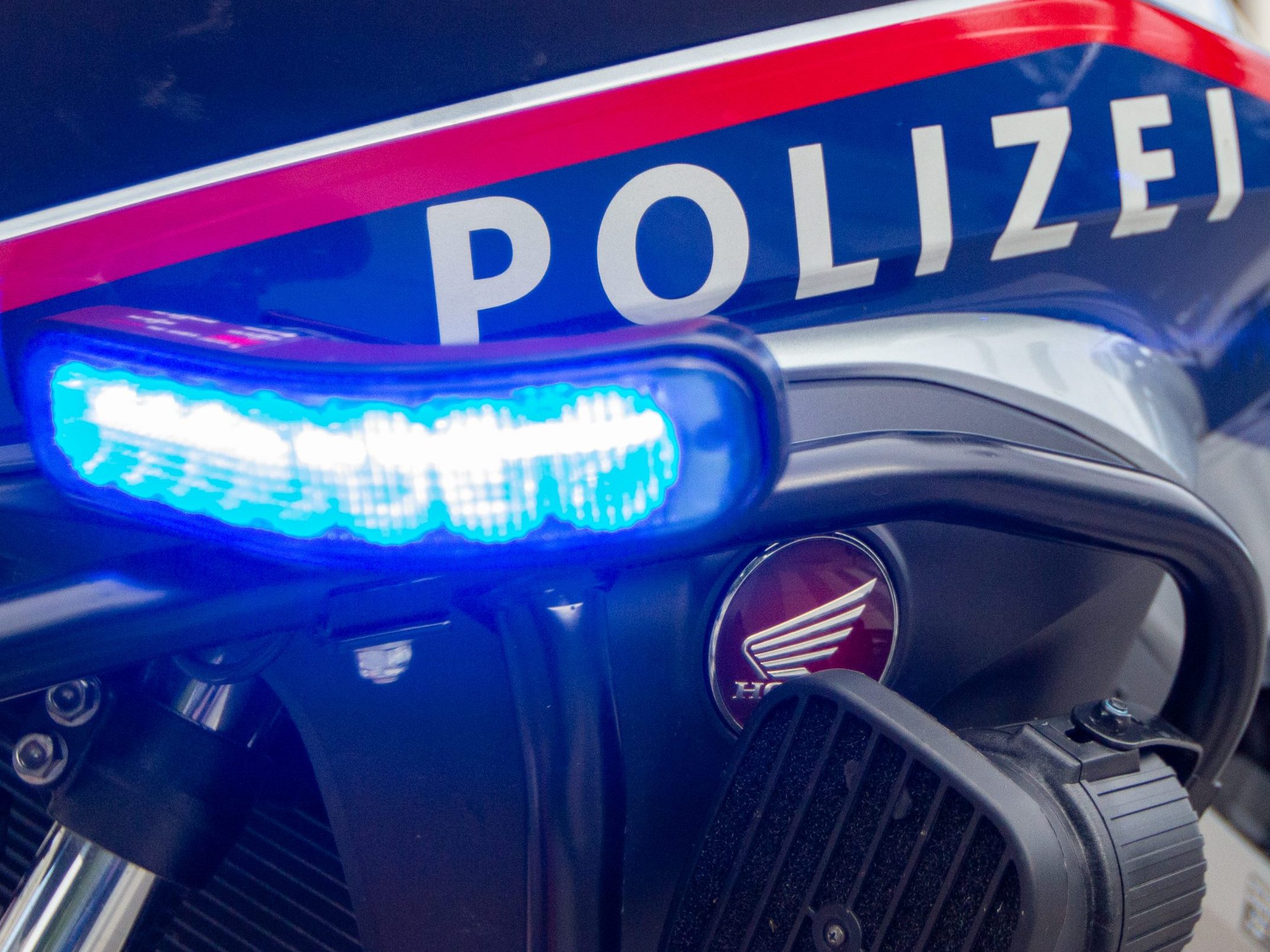 Die Polizei schnappte zwei Jugendliche. Die Polizei schnappte zwei Jugendliche.