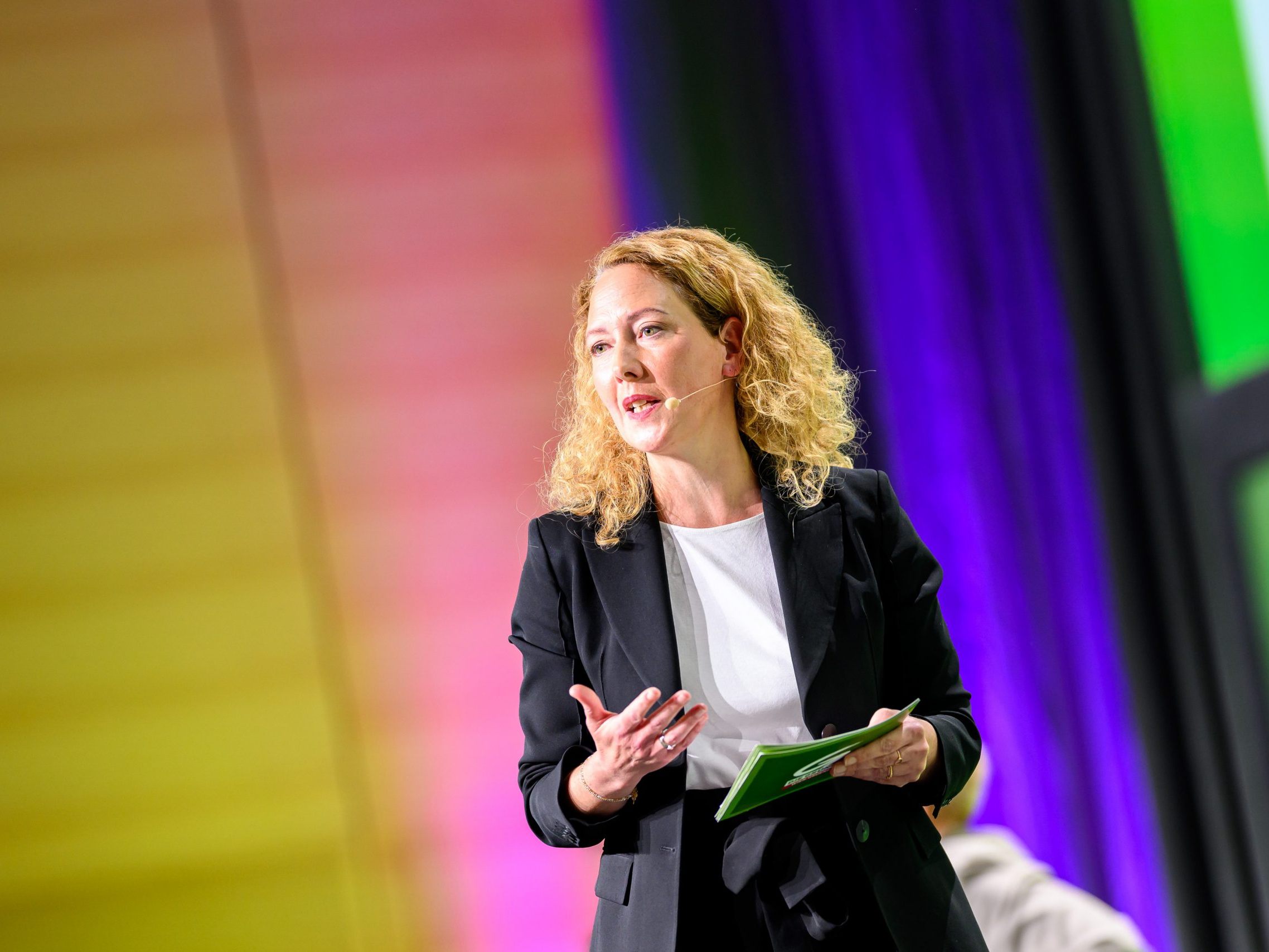 Warnung von Wiener Grünen. Im Bild: Parteichefin Pühringer.