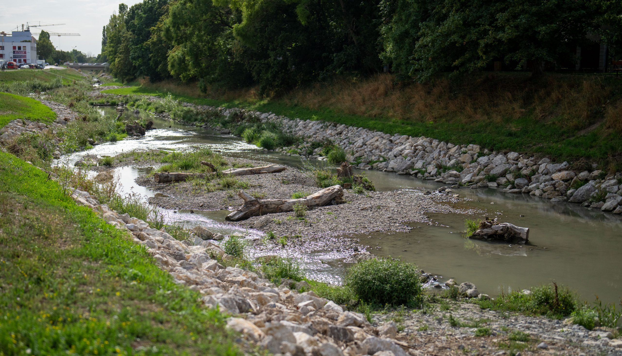 ©APA/GEORG HOCHMUTH