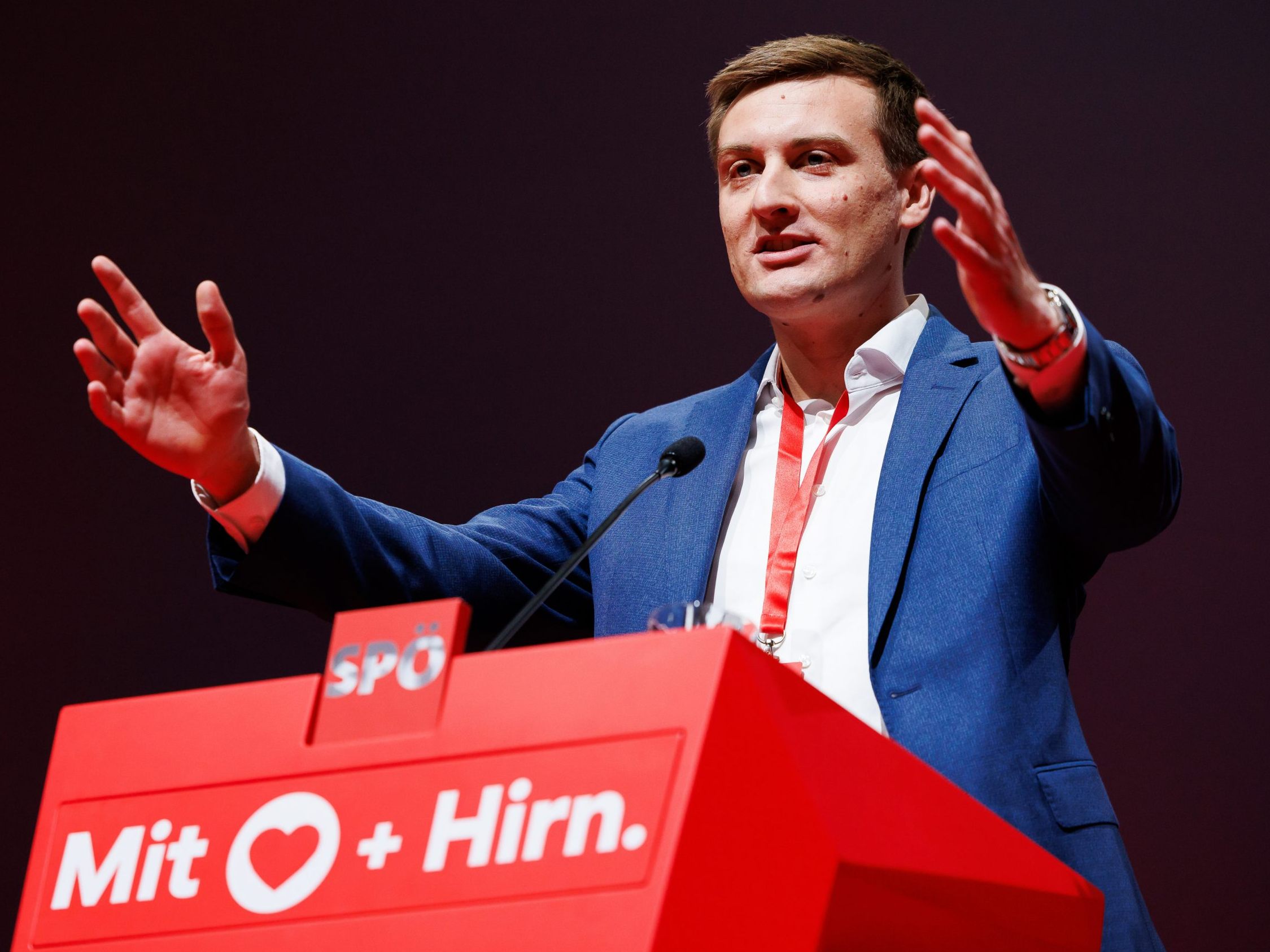 Hergovich will eine "niederösterreichische Donauinsel"