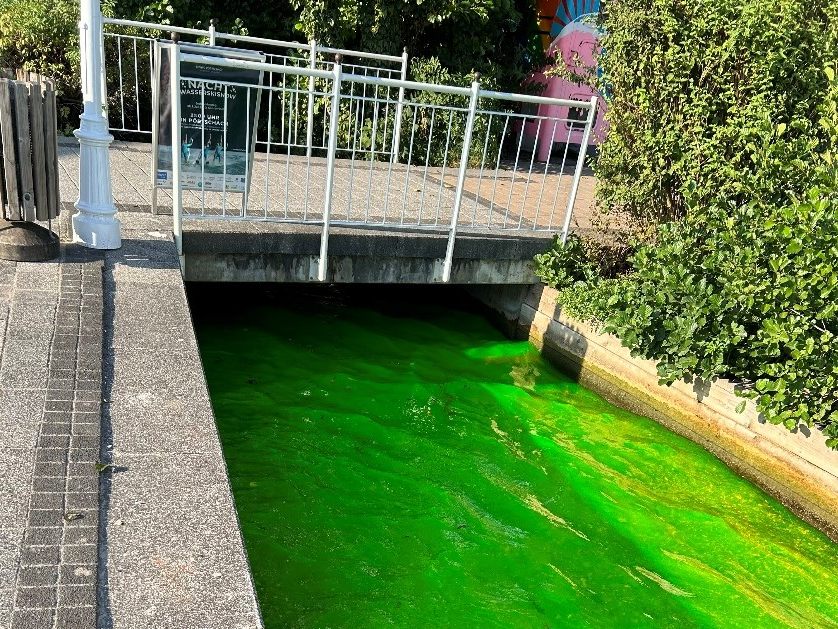 Unbekannte färbten die Wörthersee-Zufluss knallgrün ein.