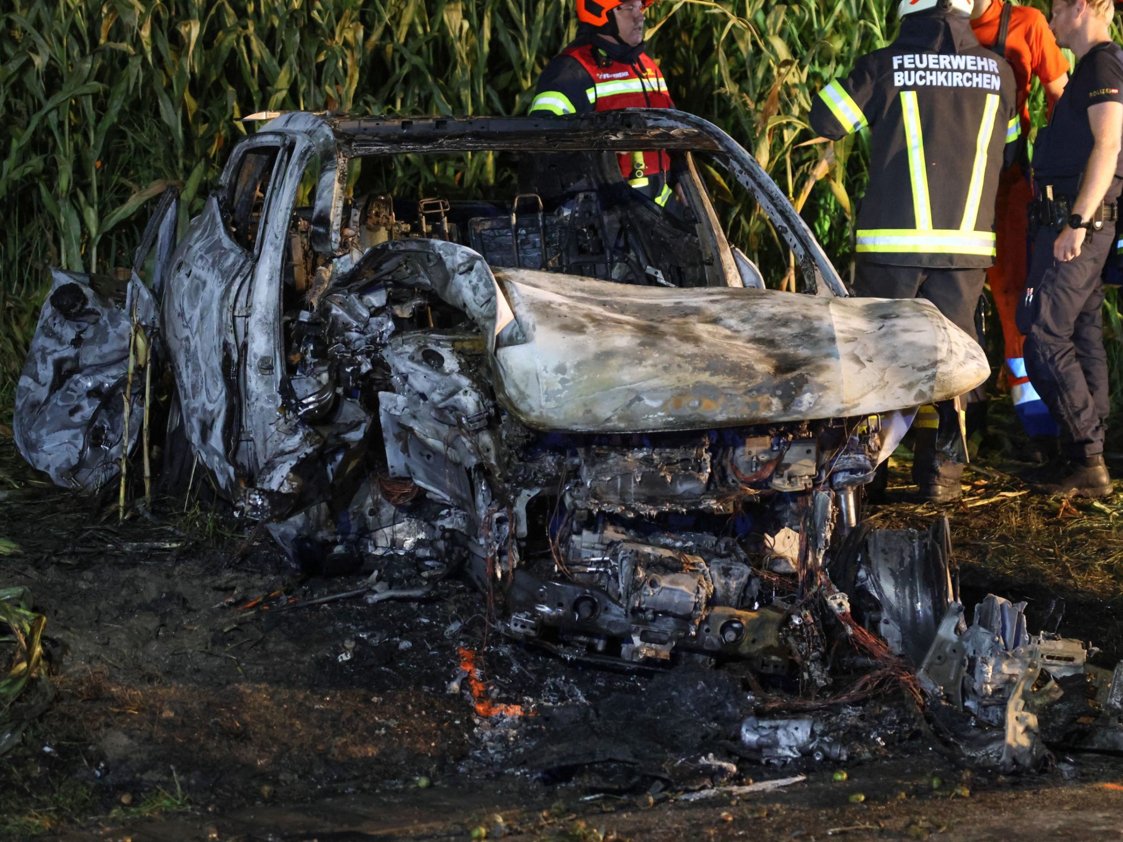 Auto mit Elektroantrieb krachte frontal gegen Baum und ging in Flammen auf