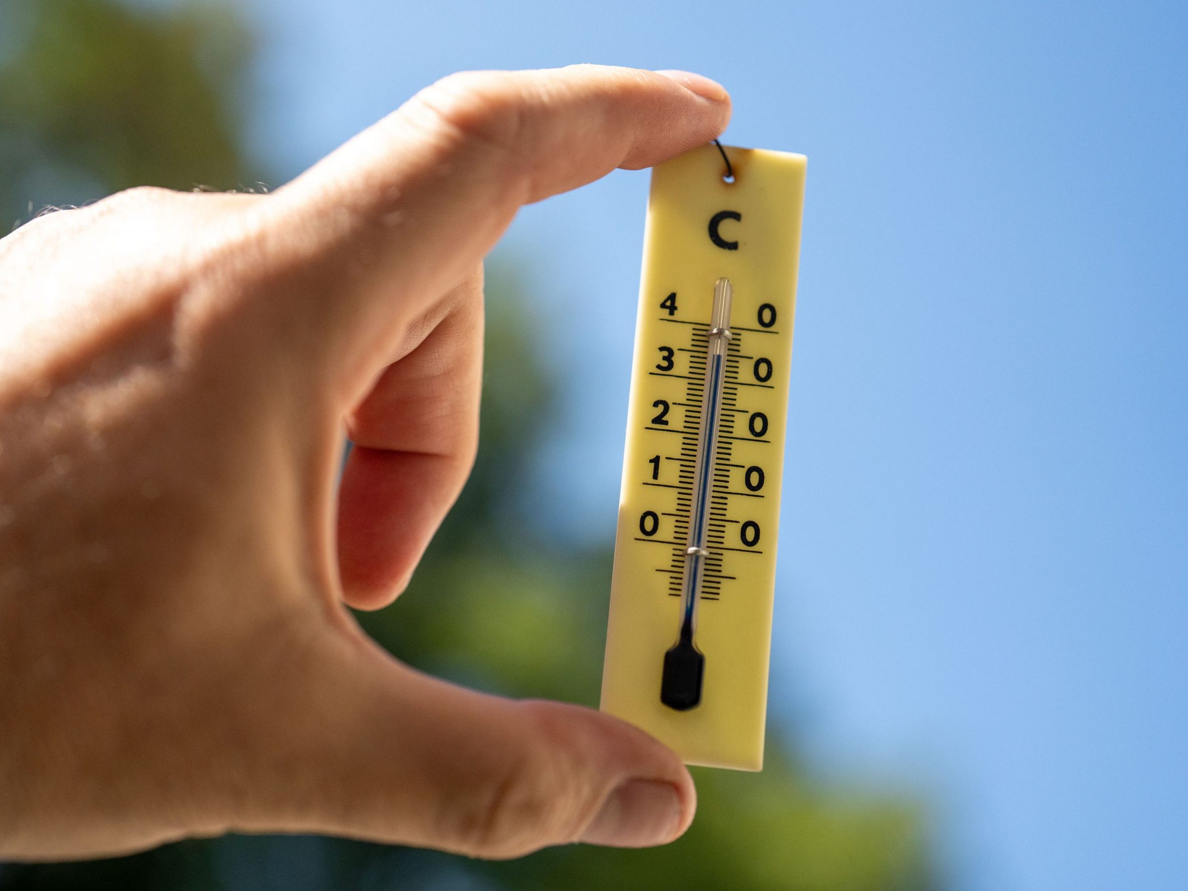 Sonnenanbeter dürfen sich auf den Beginn des Wochenendes freuen.