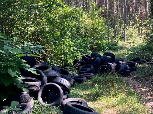 In einem Waldgebiet in Niederösterreich sind Autoreifen entsorgt worden.