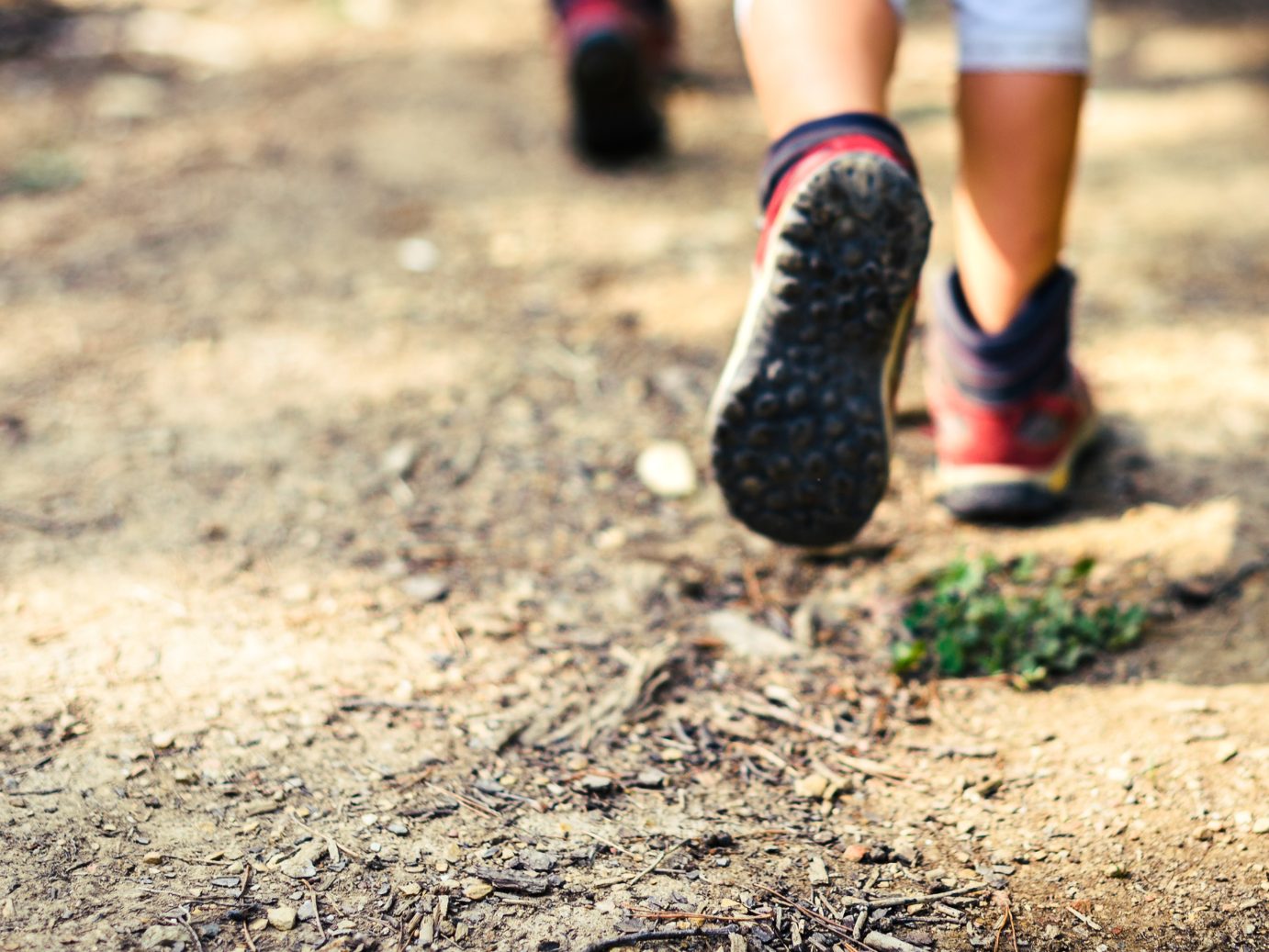 Die Bergrettung brachte die Männer in Sicherheit, teilte die Polizei mit.