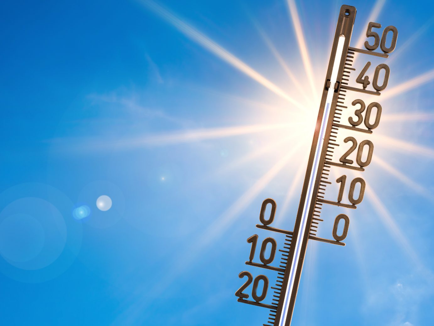 Österreichische NGOs fordern ein Hitzeschutzpaket für Armutsbetroffene.