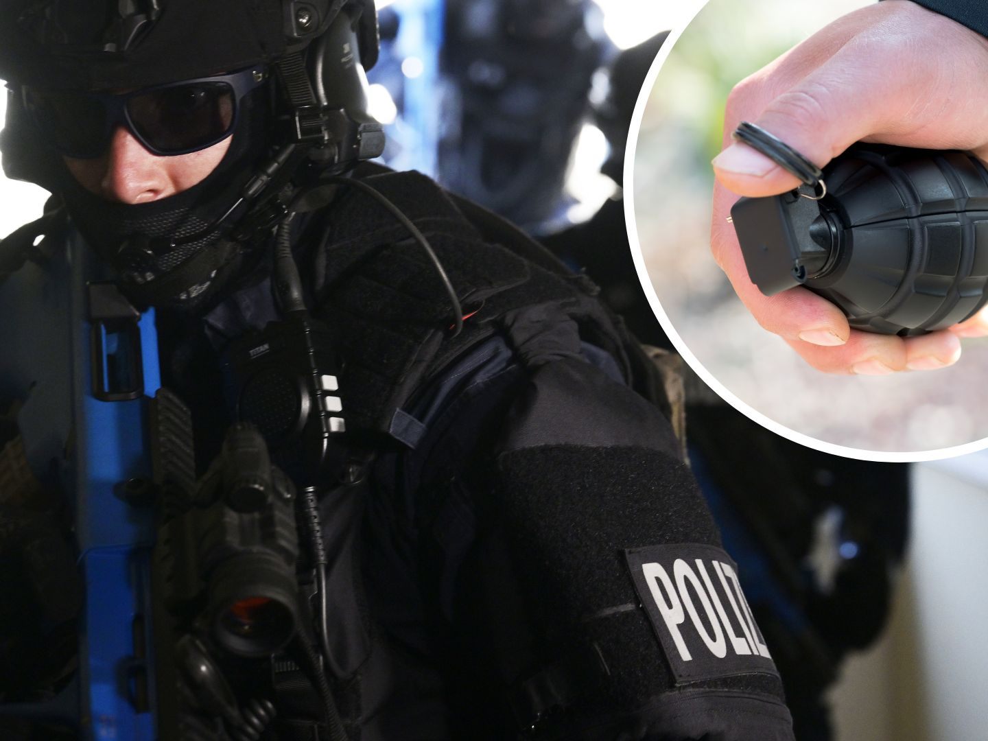 Bei dem Einsatz wurden tatsächlich zwei Handgranaten sichergestellt Bei dem Einsatz wurden tatsächlich zwei Handgranaten sichergestellt