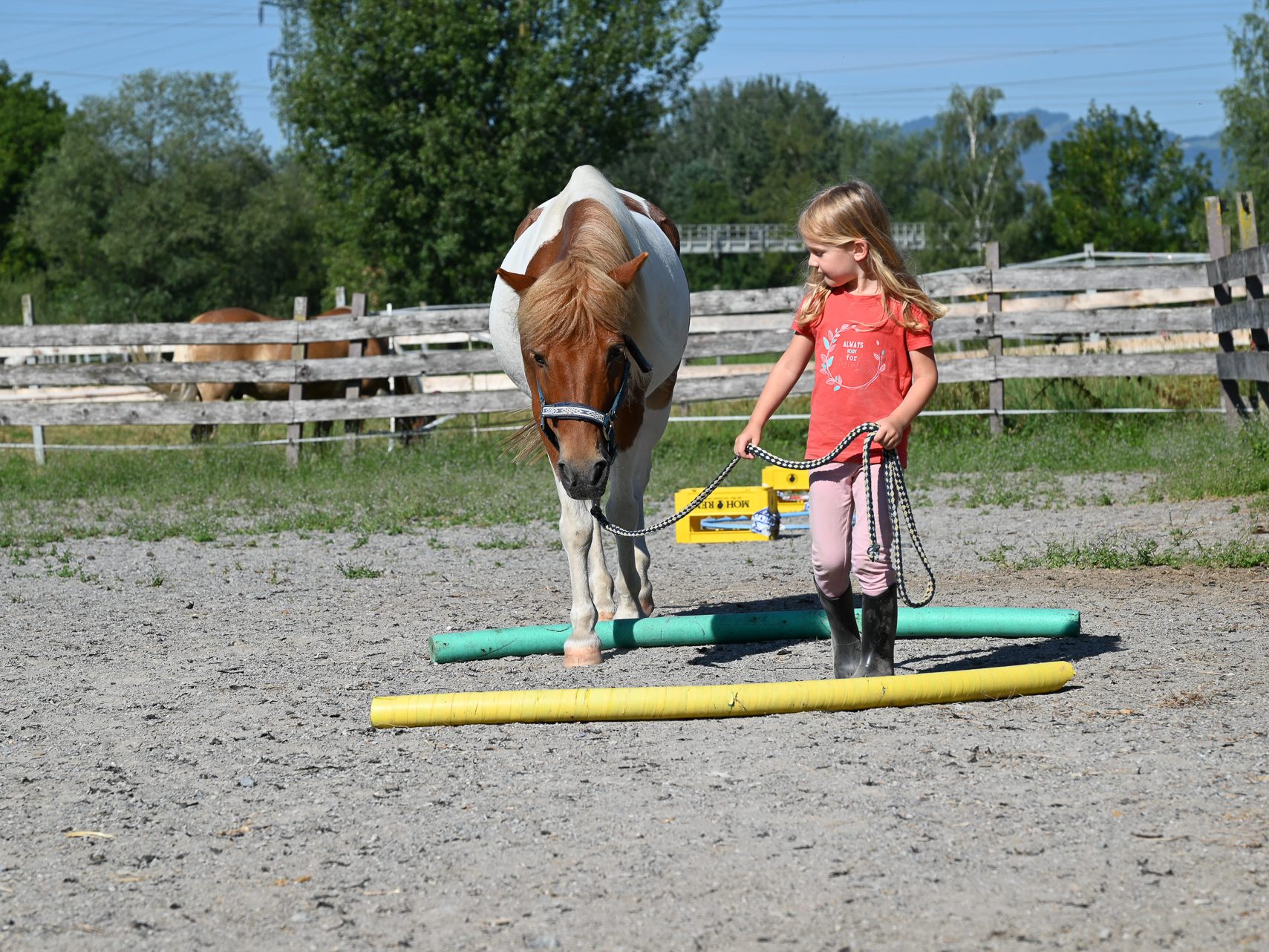 Hoch im Trend liegt bei den Kindern die Erlebnisreitwoche der HRV Hubertus in Lustenau.