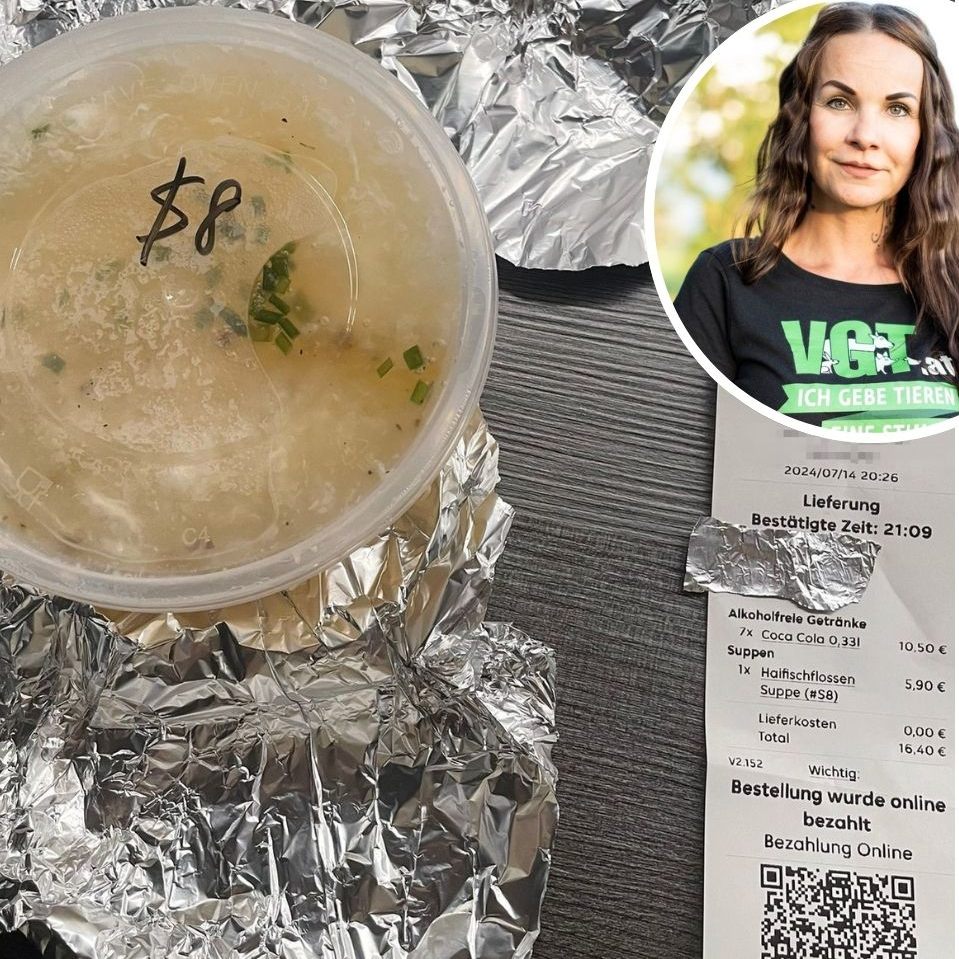 Der VGT hat recherchiert, wie es um Haifischprodukte in österreichischen Restaurants steht.