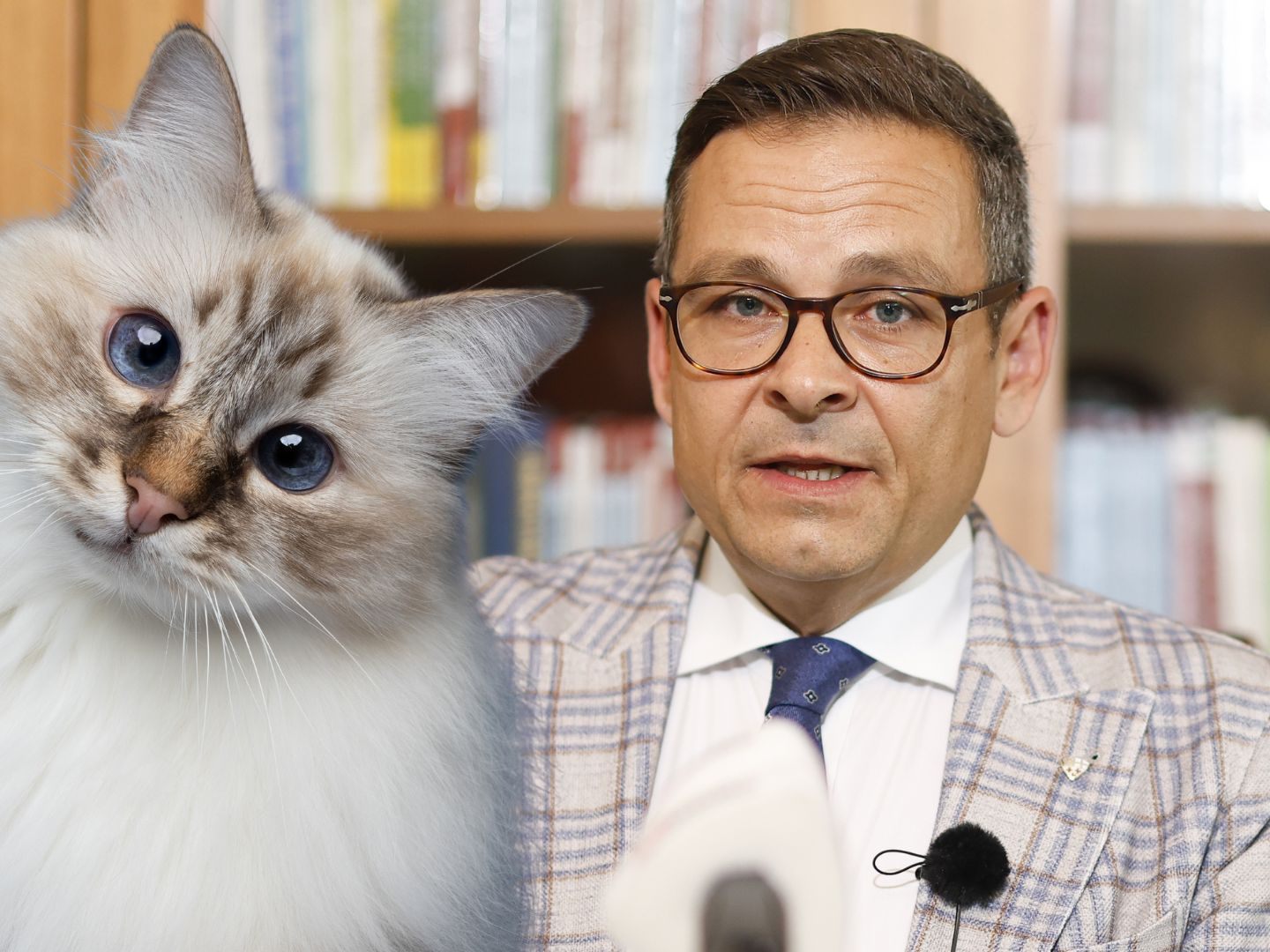 Die Katze von Gerald Grosz hat eine Mahnung vom ORF bekommen. Die Katze von Gerald Grosz hat eine Mahnung vom ORF bekommen.