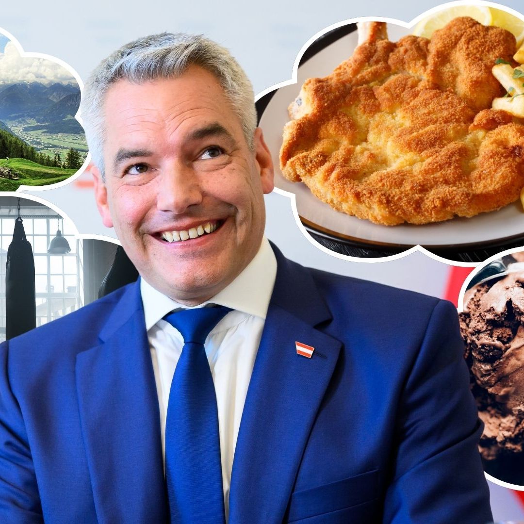 Steckbrief von Karl Nehammer.