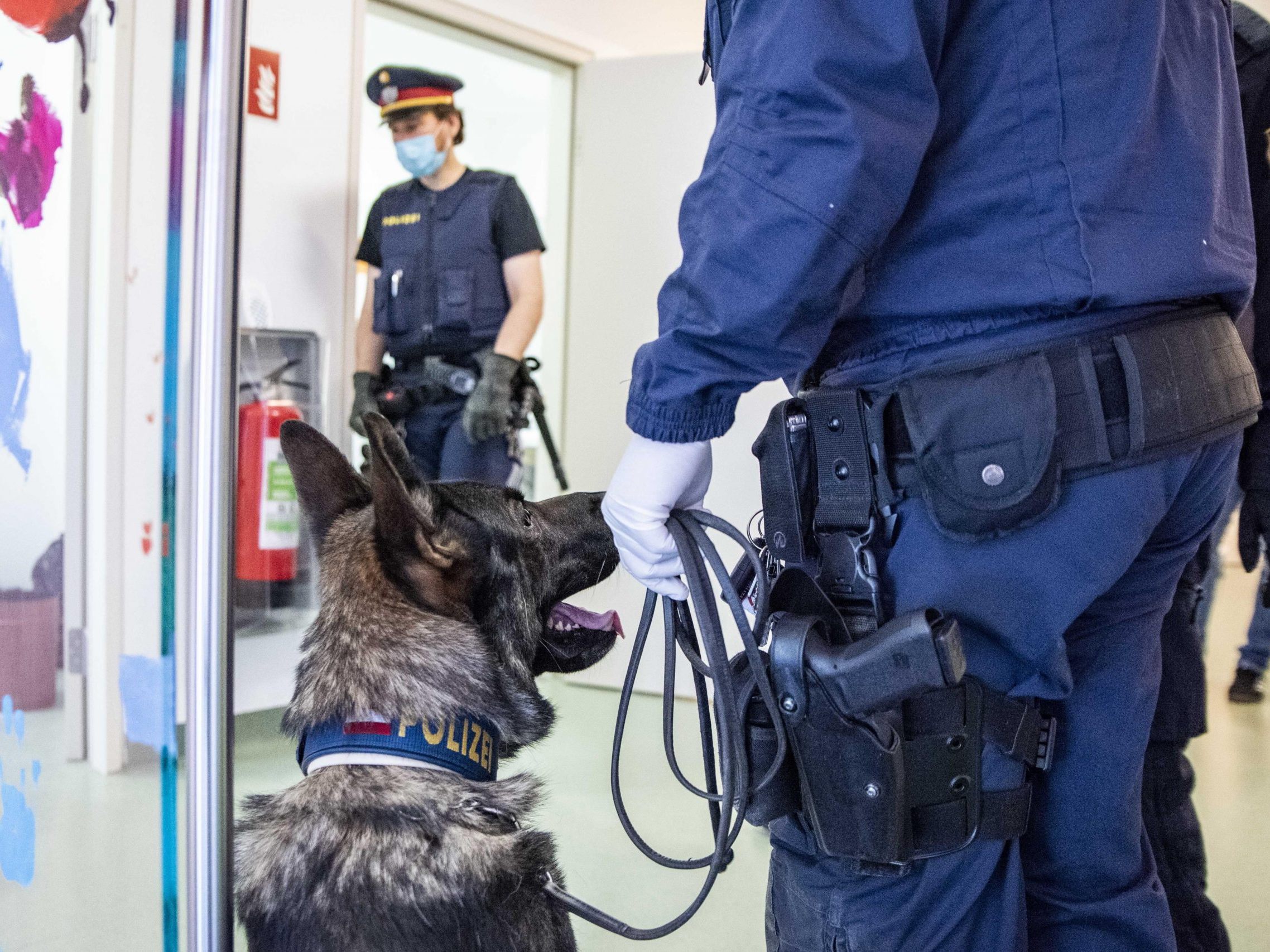 Das Ferienspiel bei der Polizeidiensthundeeinheit startet am Samstag um 13 Uhr. Das Ferienspiel bei der Polizeidiensthundeeinheit startet am Samstag um 13 Uhr.