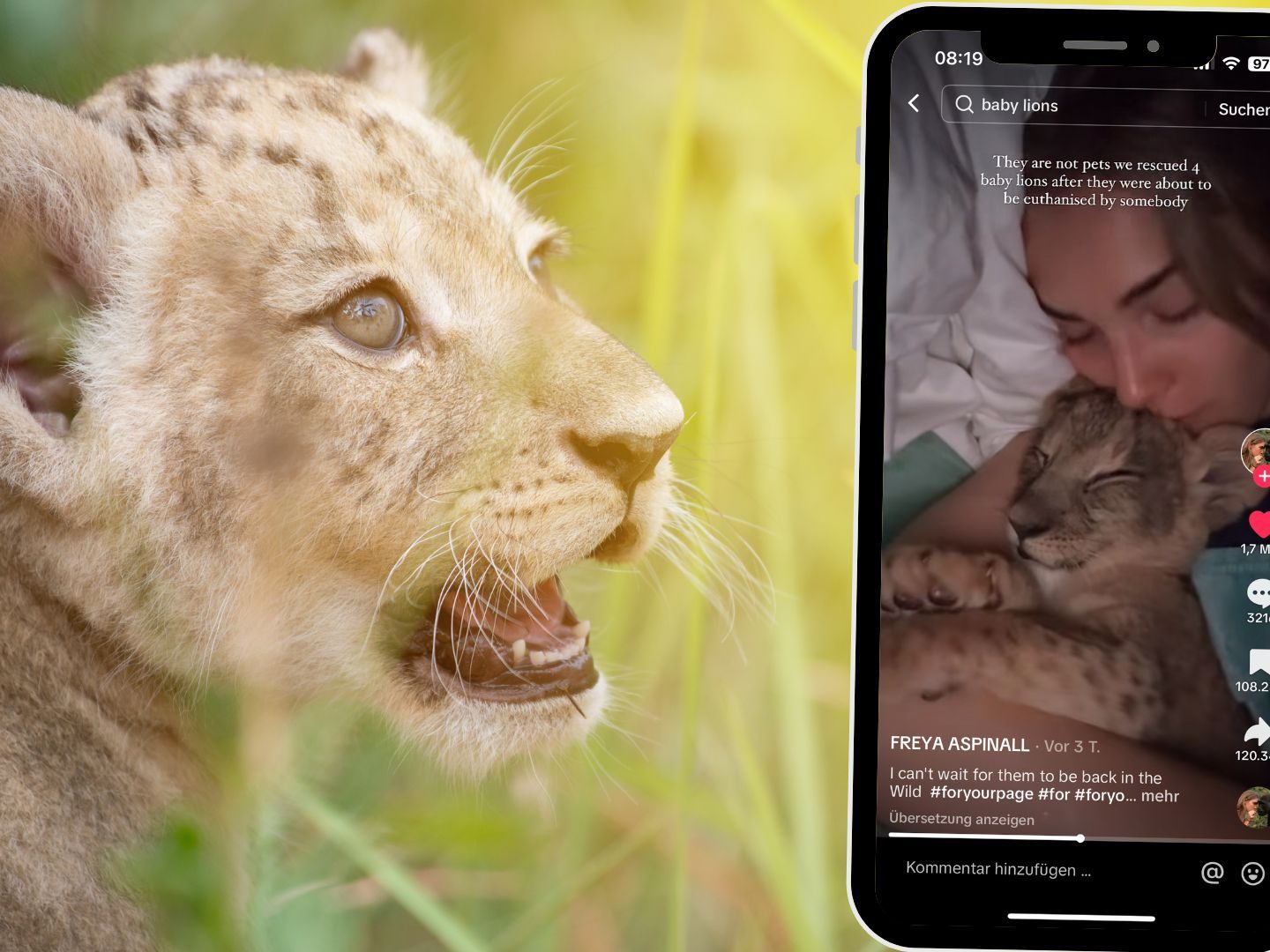 In einem Video zeigt eine Frau, wie sie einen Babylöwen in ihrem Bett liebevoll umsorgt.