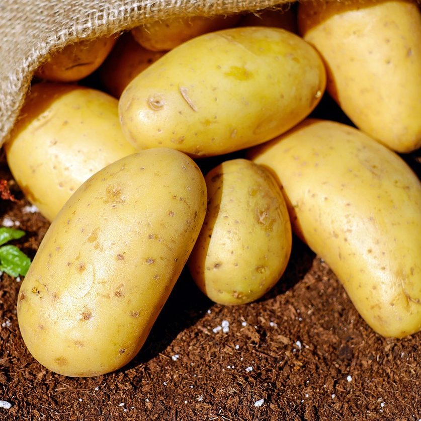 Auch Kartoffeln halten gesund.