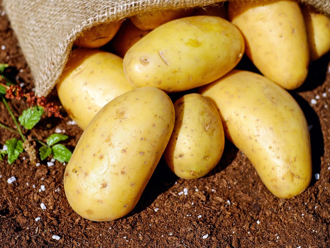 Auch Kartoffeln halten gesund.