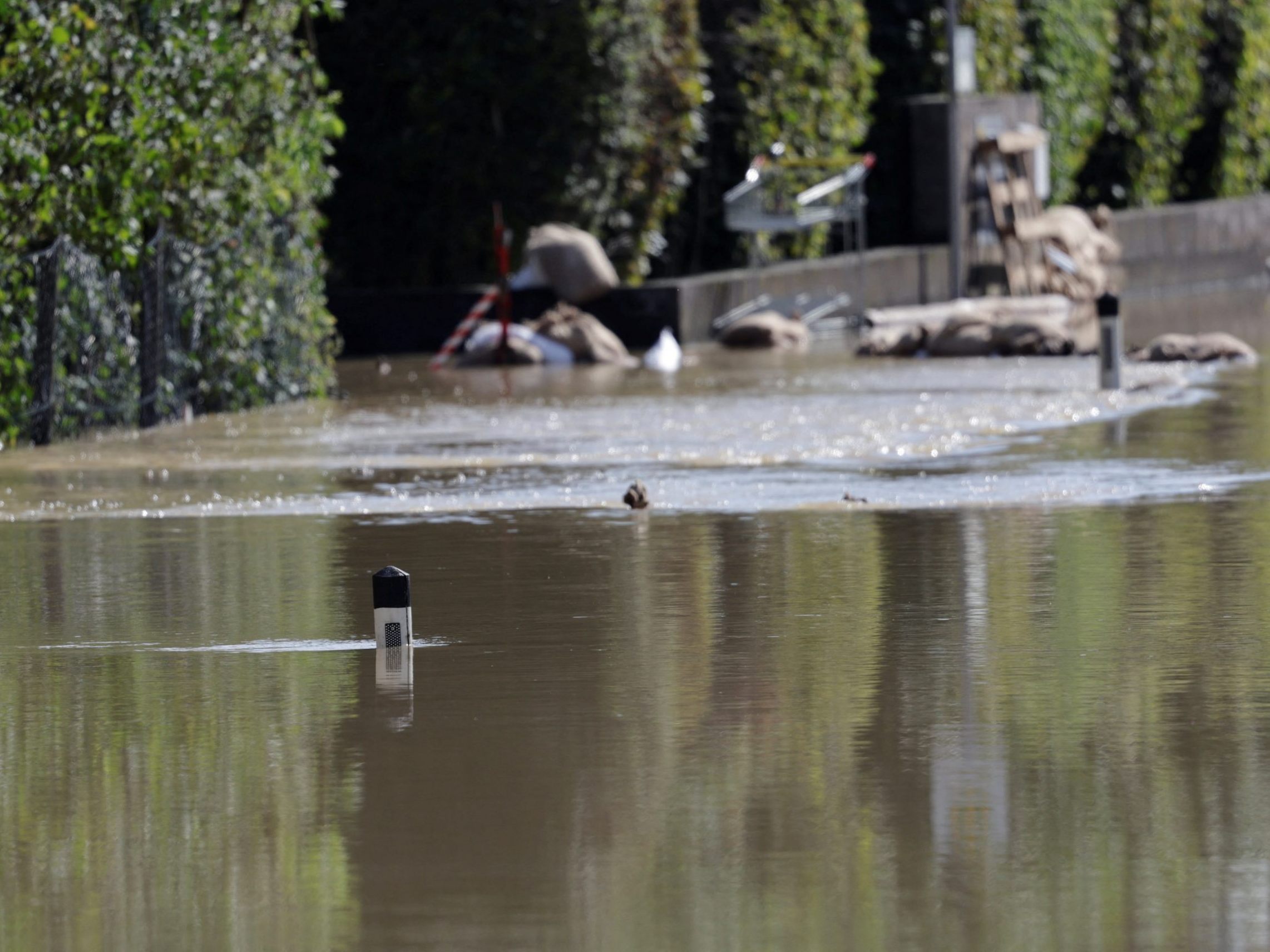 Im Bezirk Neusiedl am See wurde Hochwasser-Entwarnung gegeben.