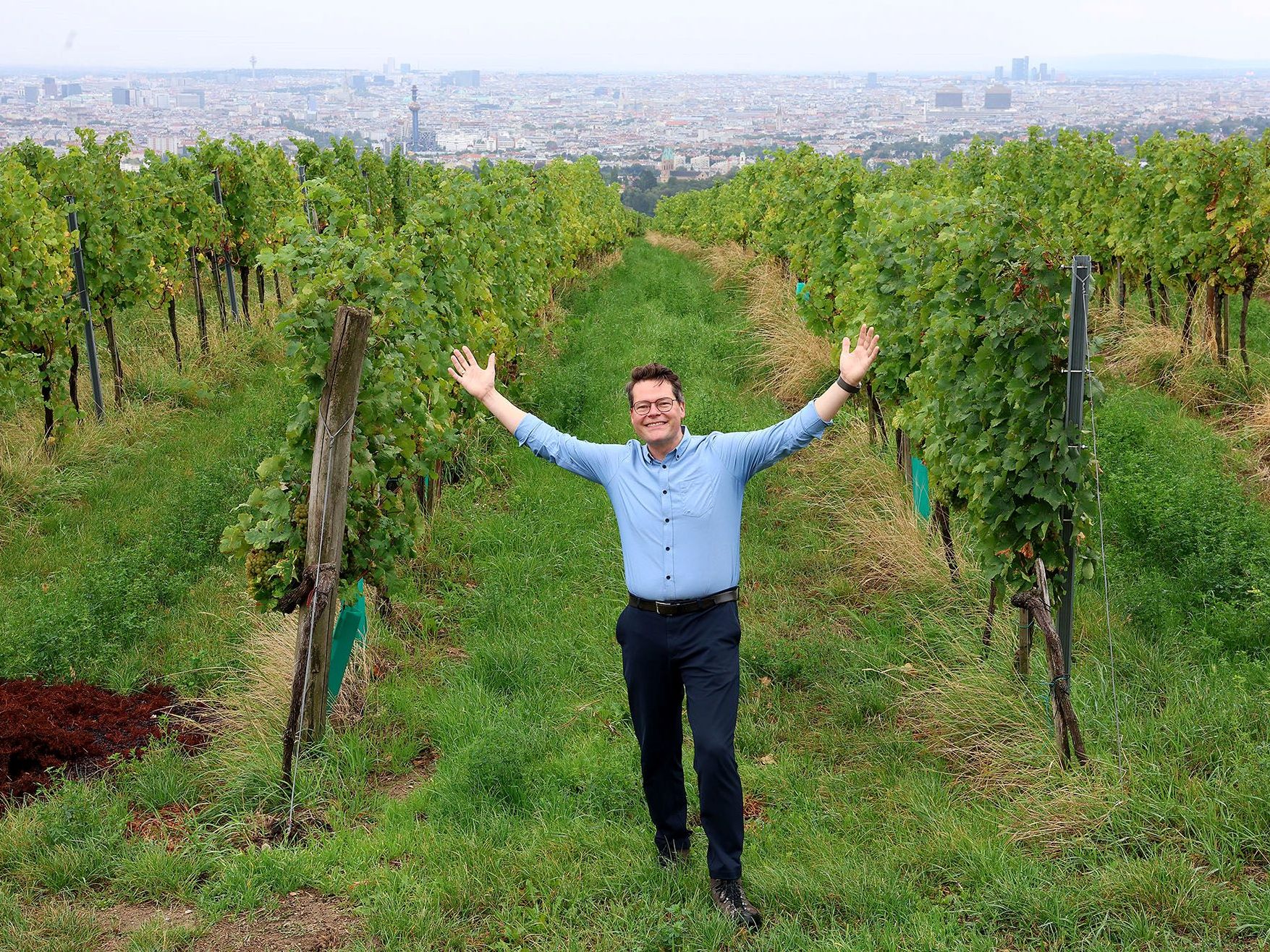 Der 17. Wiener Weinwandertag findet am 28. und 29. September 2024 statt. Der 17. Wiener Weinwandertag findet am 28. und 29. September 2024 statt.