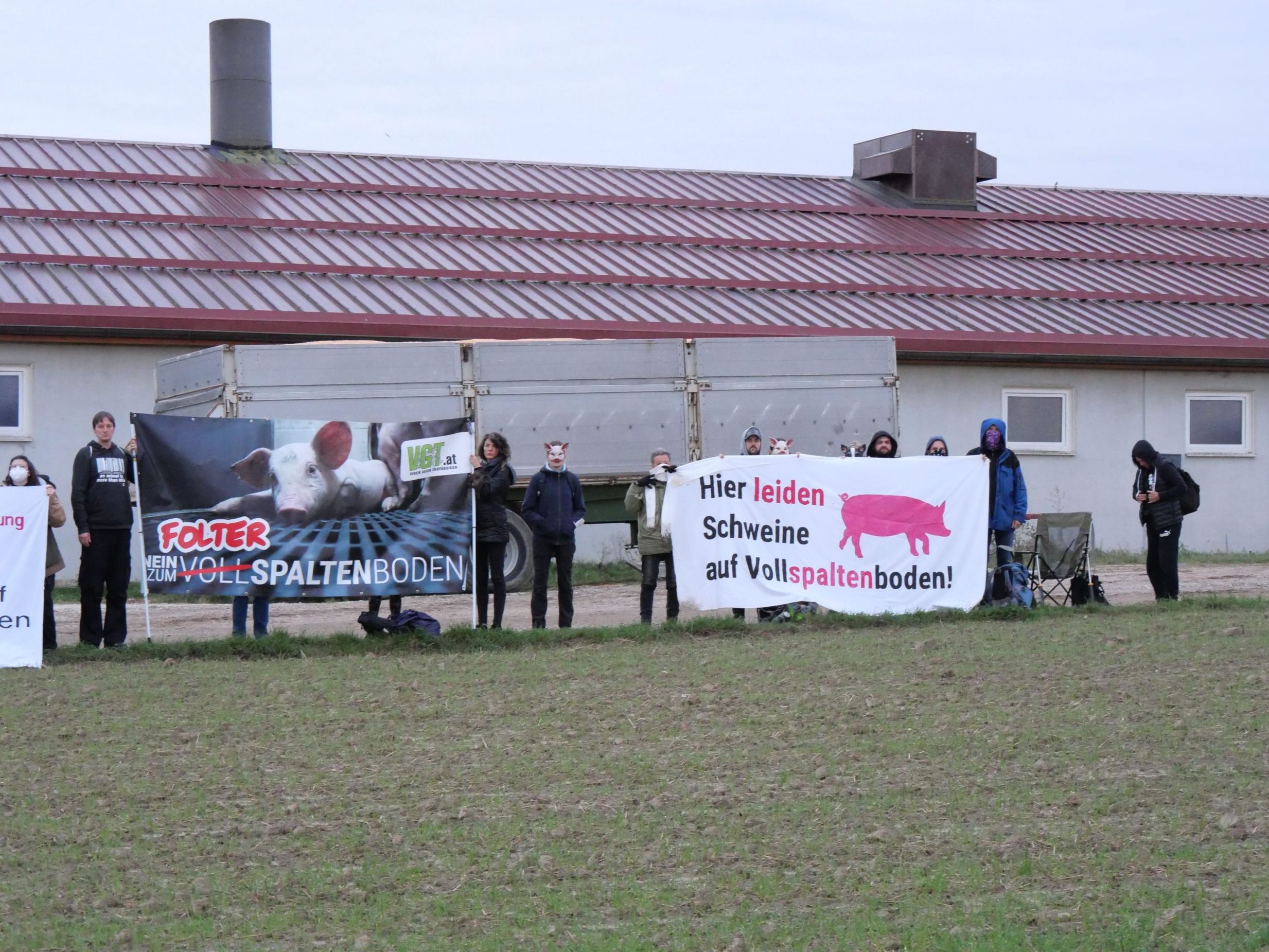 Acht Aktivisten betraten laut einer Aussendung das Innere des Stalls. Acht Aktivisten betraten laut einer Aussendung das Innere des Stalls.