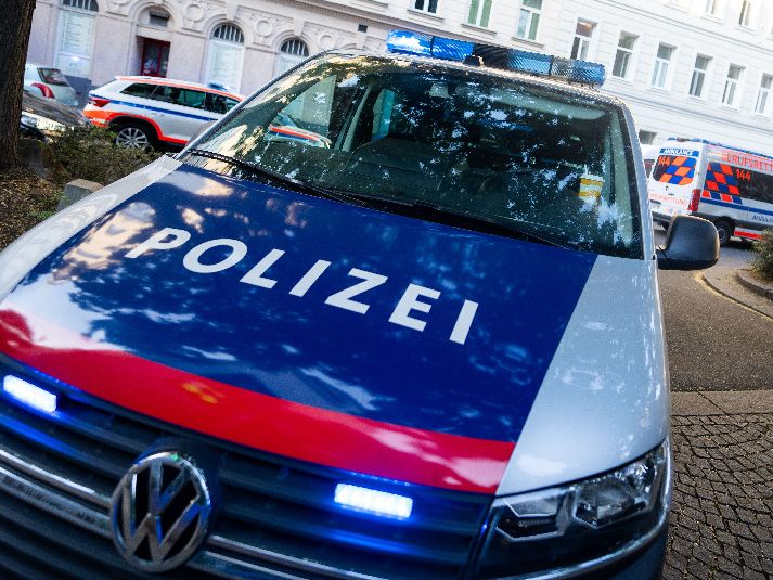 Der Bub erlitt eine Gehirnerschütterung und Prellungen. Der Bub erlitt eine Gehirnerschütterung und Prellungen.