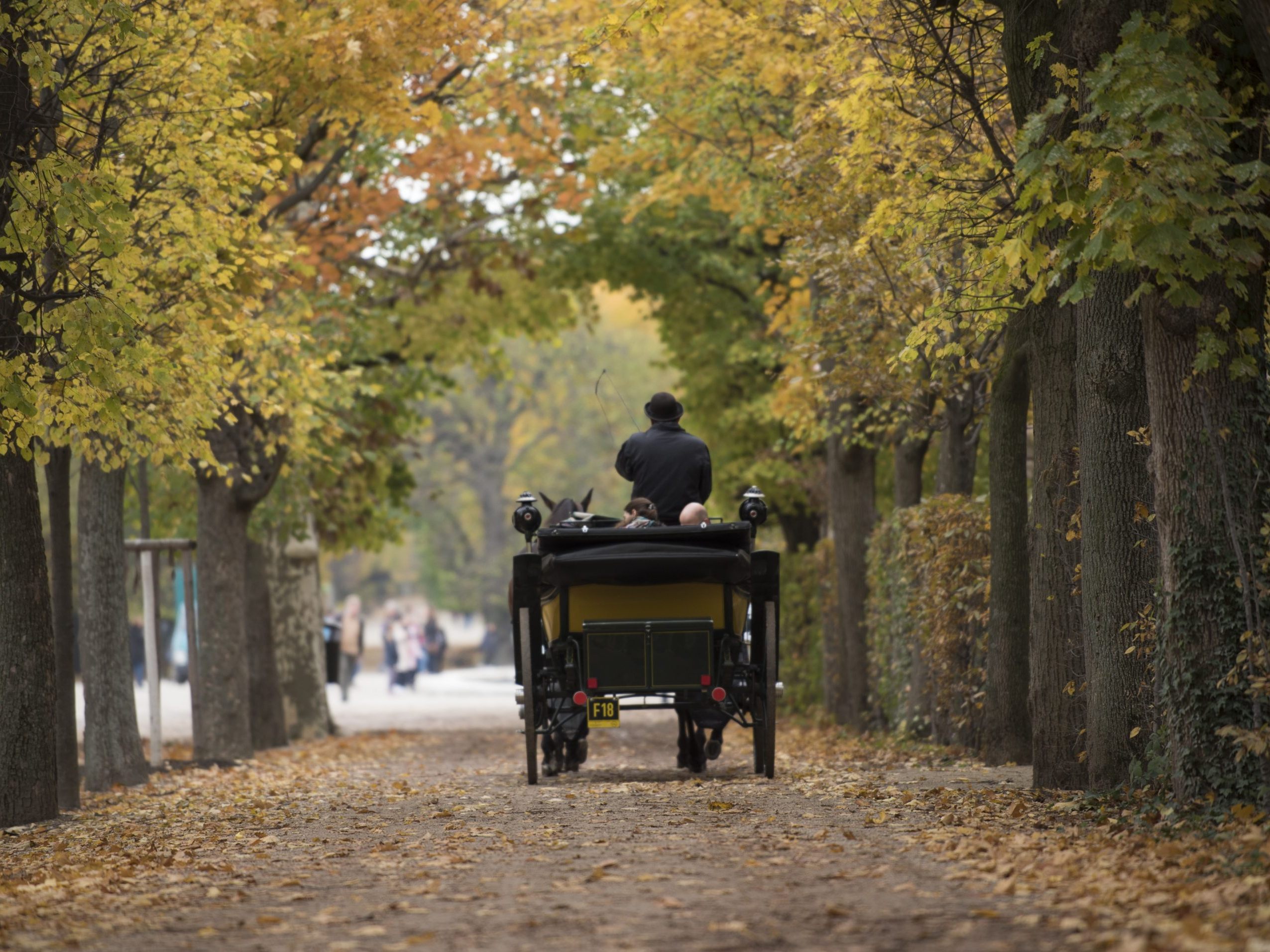 Das Wetter wird in der kommenden Woche herbstlich.