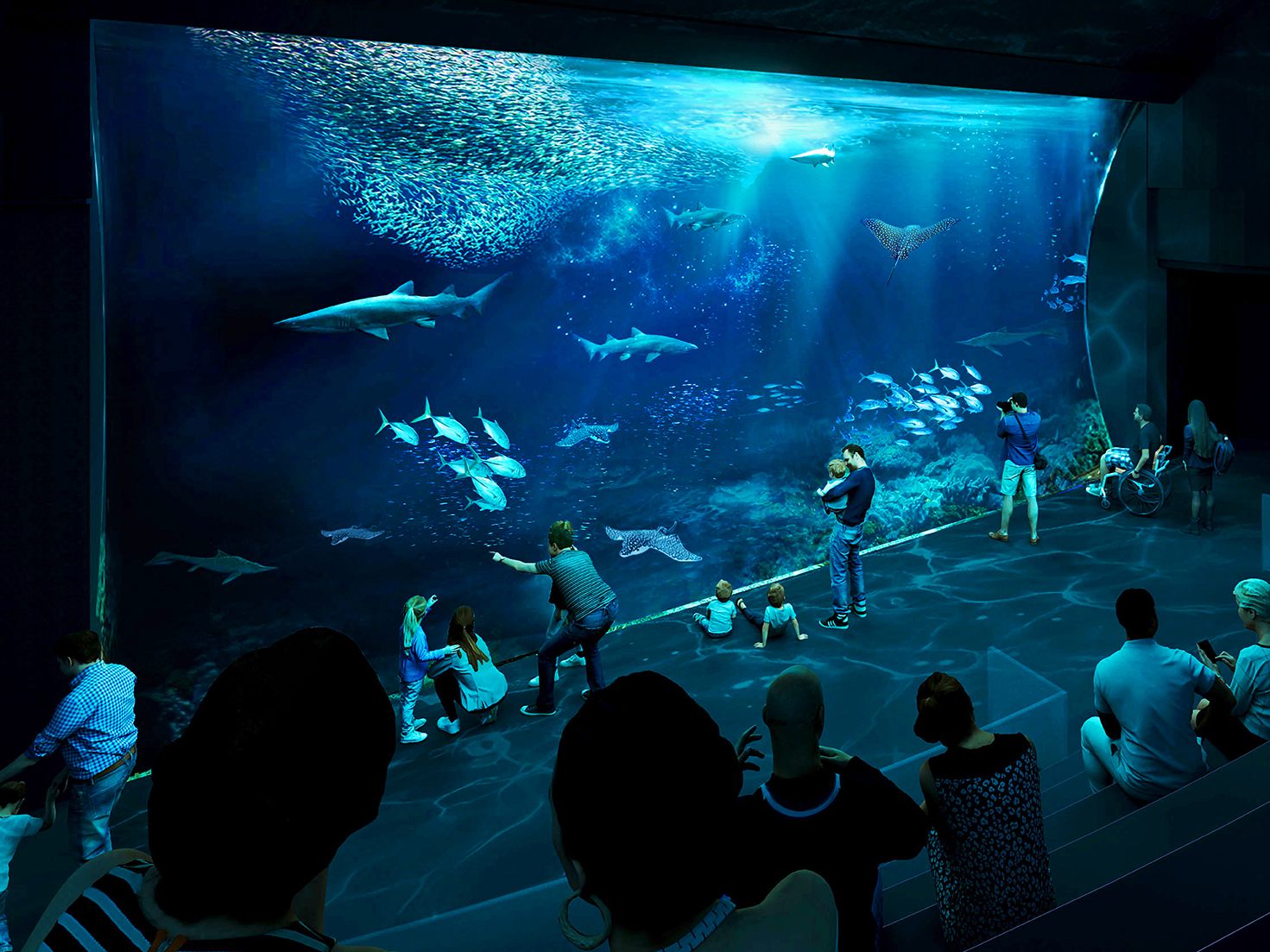 Die Eröffnung des neuen Artenschutz-Aquariums ist 2028 geplant. Die Eröffnung des neuen Artenschutz-Aquariums ist 2028 geplant.