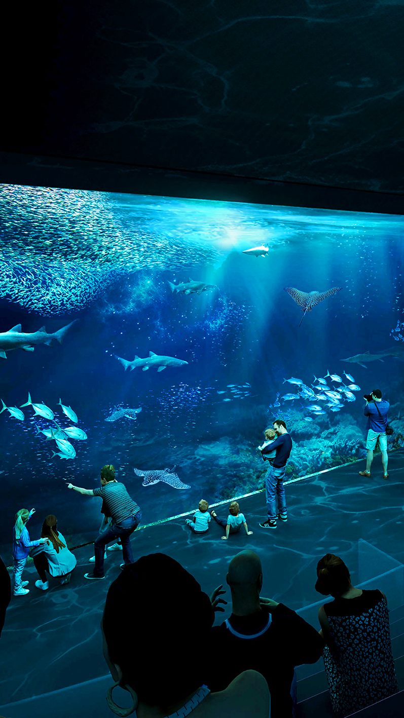 Die Eröffnung des neuen Artenschutz-Aquariums ist 2028 geplant.