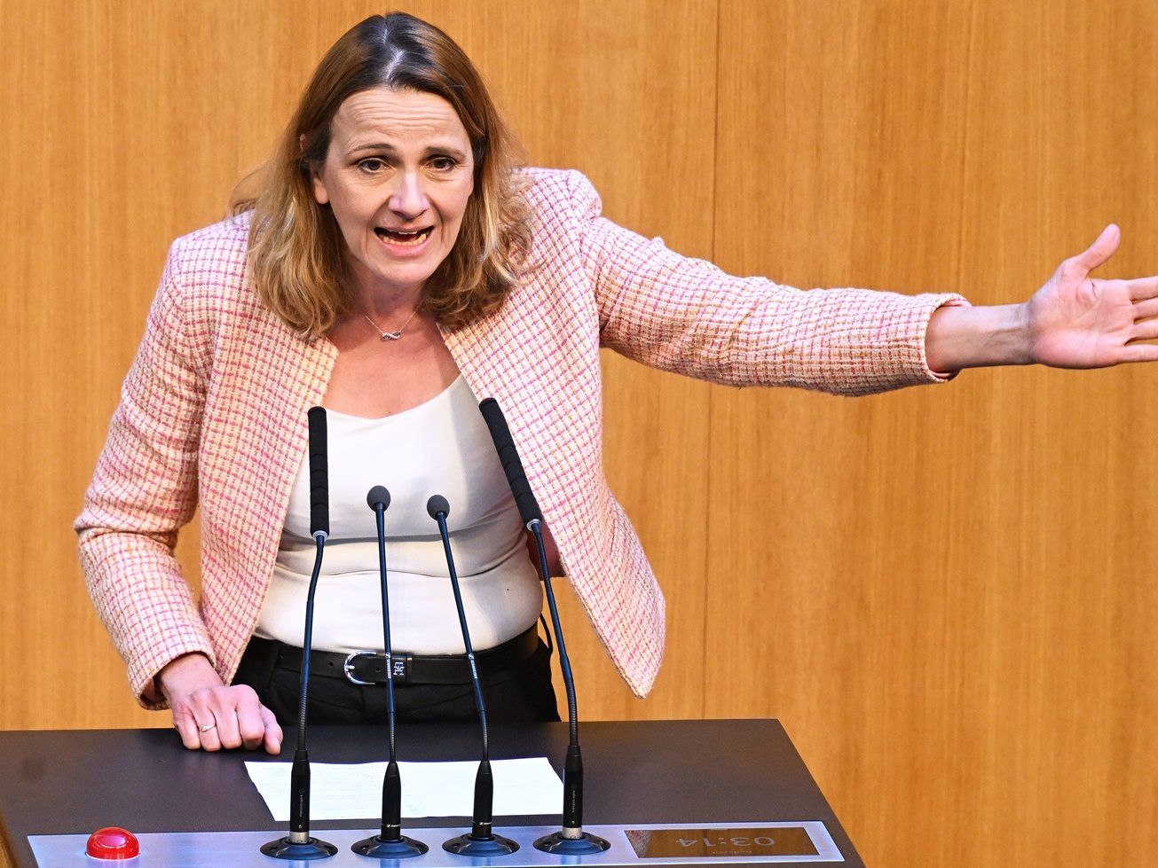 Von der FPÖ gab es Kritik.