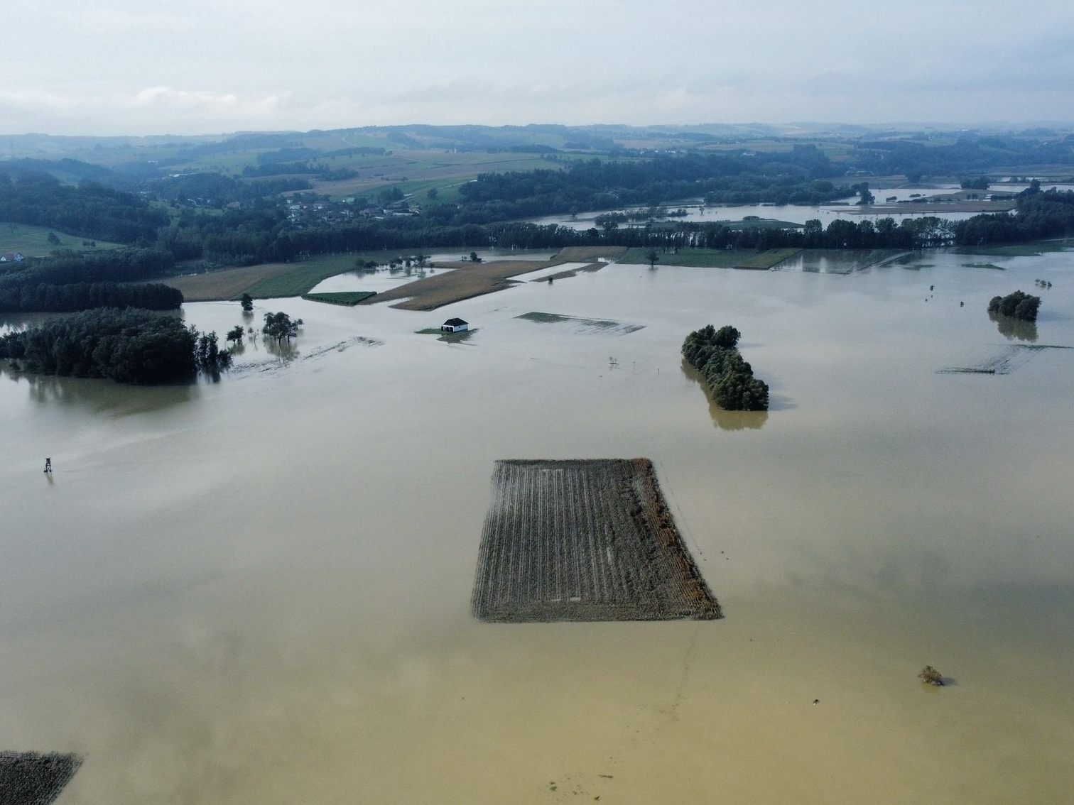 Ein überflutetes Feld in Ardagger. Ein überflutetes Feld in Ardagger.