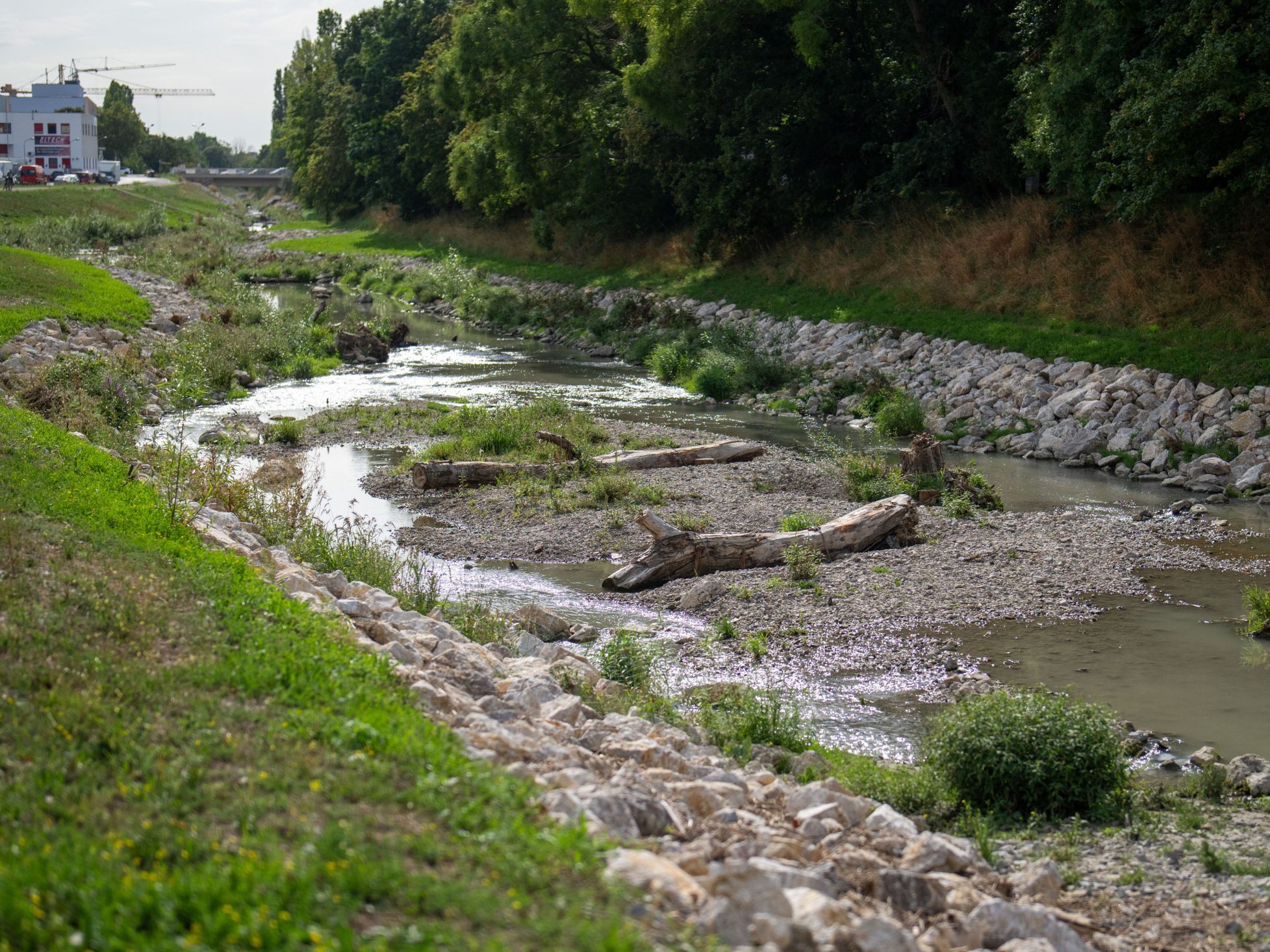 Die Renaturierung des Liesingbaches soll unter anderem die Wasserqualität verbessern.