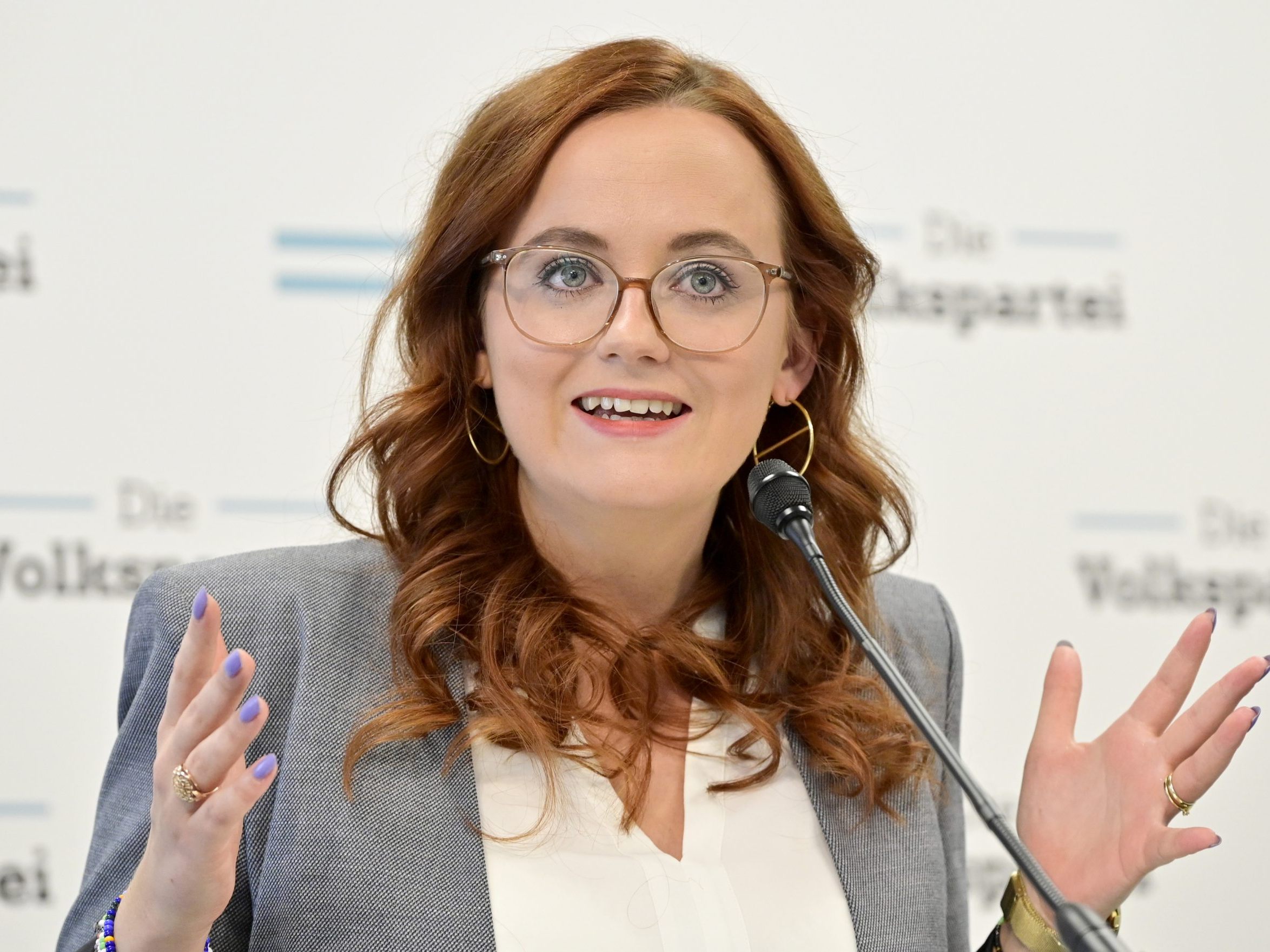 Sachslehner würde nach Nationalratswahl gerne Schwarz-Blau sehen.