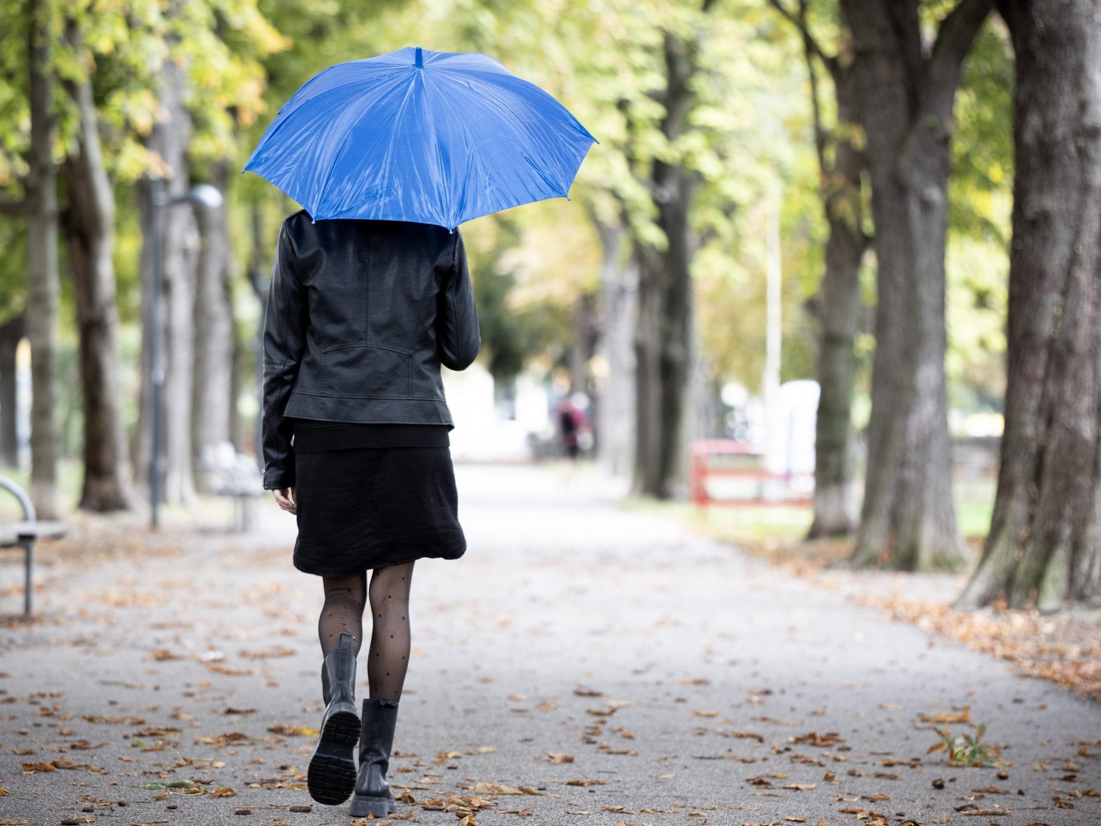 So wird das Wetter diese Woche.