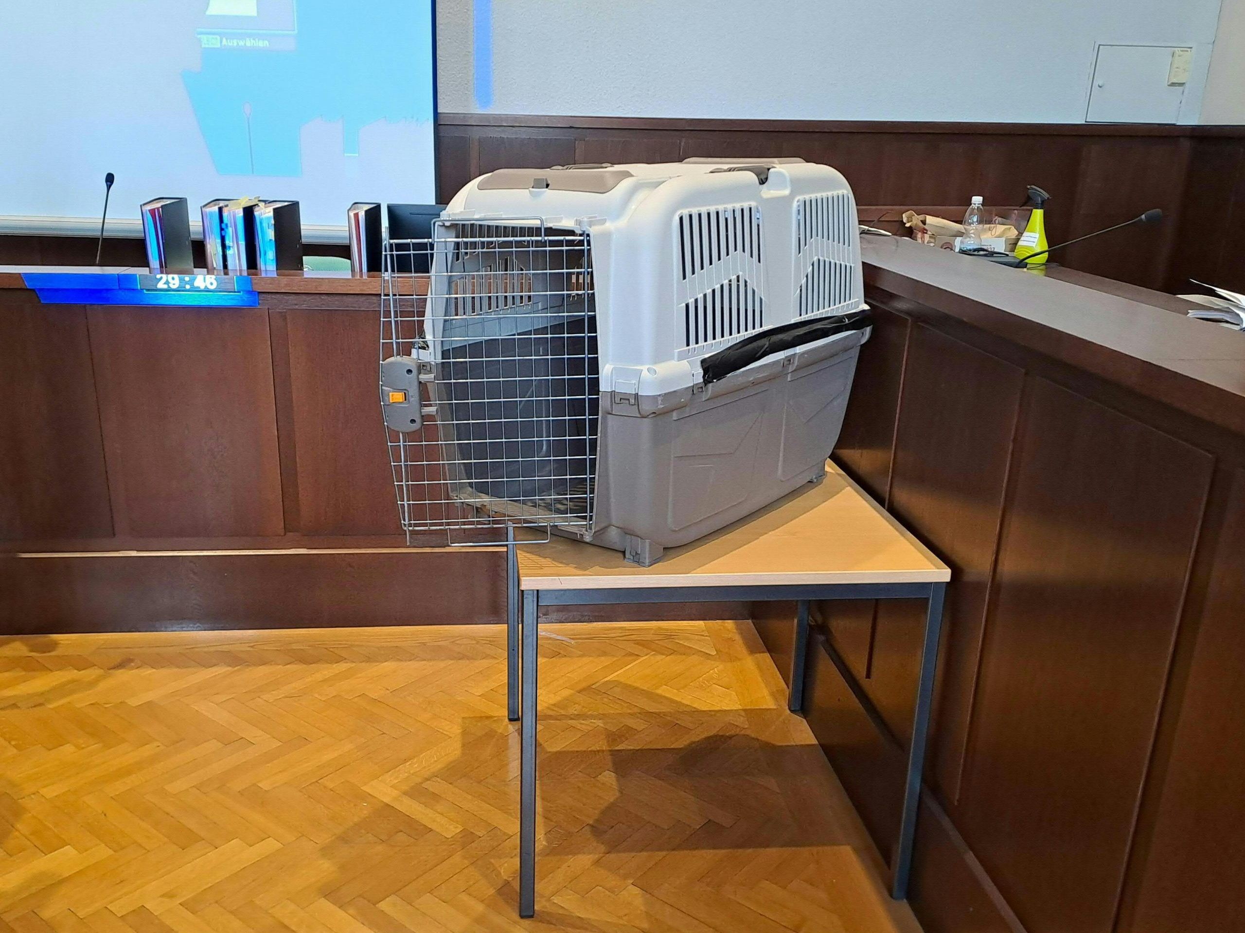 Das Bild zeigt eine Hundebox beim Prozess im Februar in Krems.